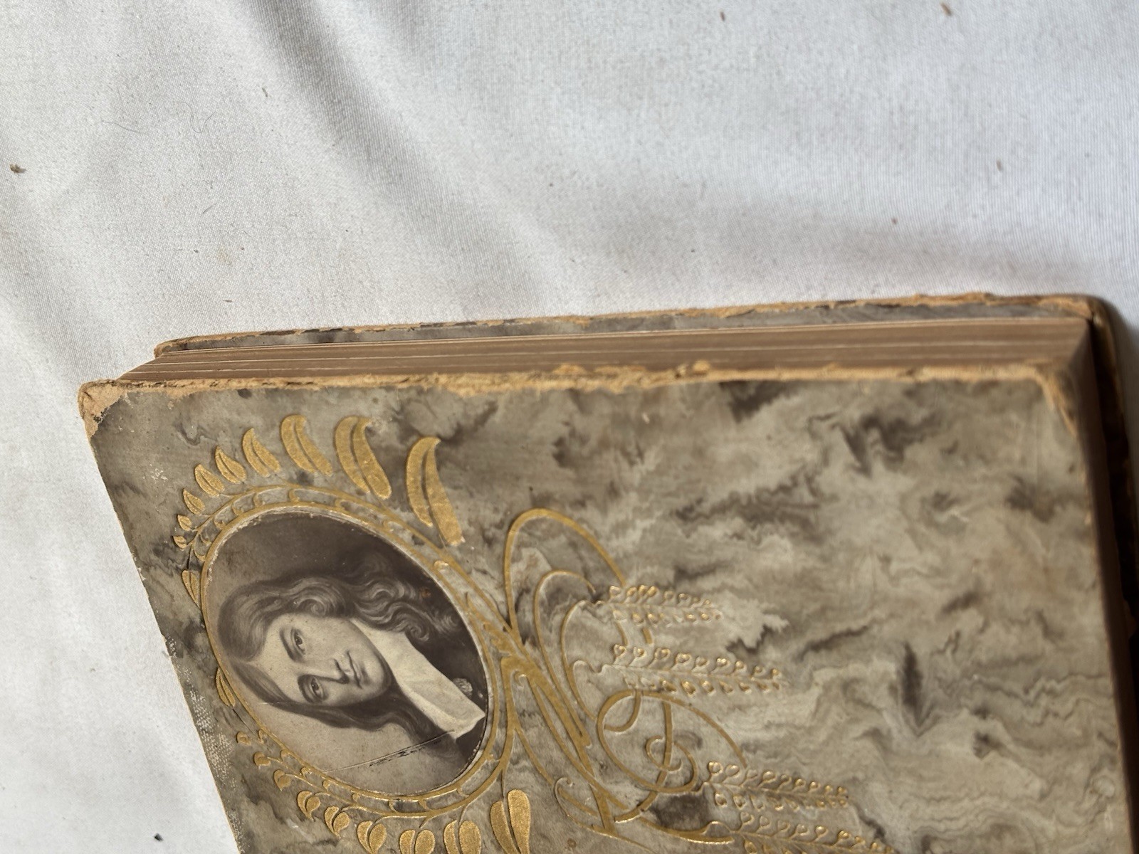Antique “Paradise Lost” Milton c 1900. HM Caldwell Publisher. Illustrated