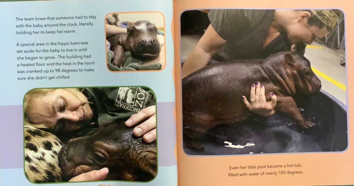 AUTOGRAPHED Fine 2018 HC DJ 1st ED Saving Fiona Hippo Thane Maynard