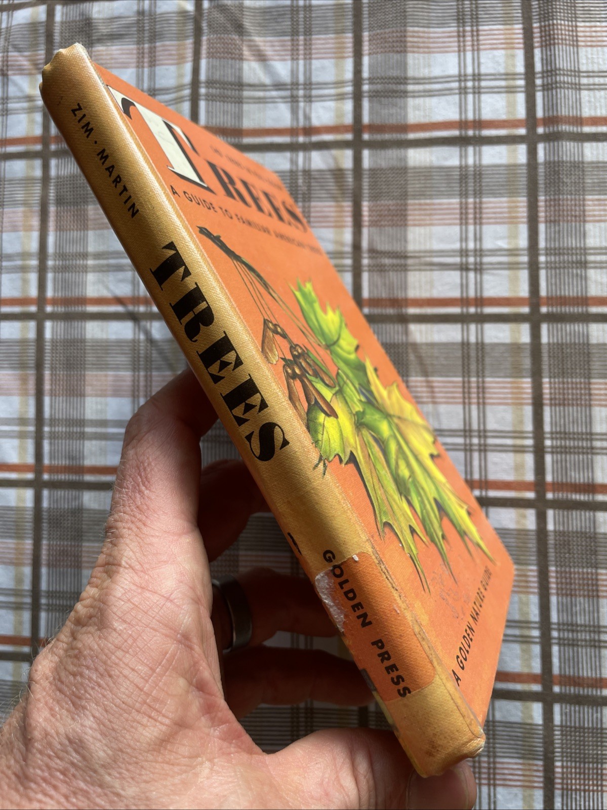 Trees: A Golden Nature Guide to Familiar American Trees (1956 Vintage Ex-Lib HC)