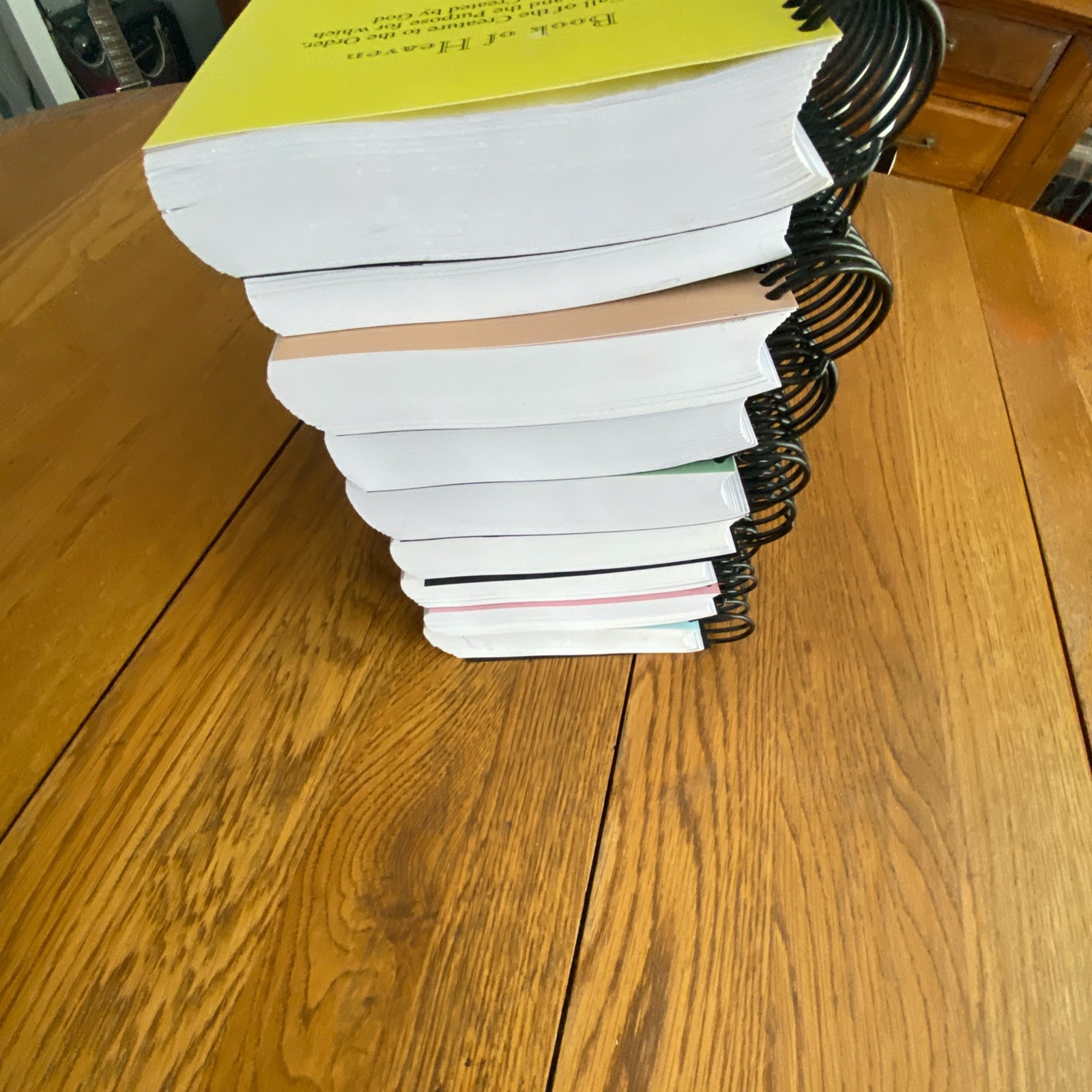 Book of Heaven by Luisa Piccarreta Volumes 1-36 Complete Set Spiral Paperback