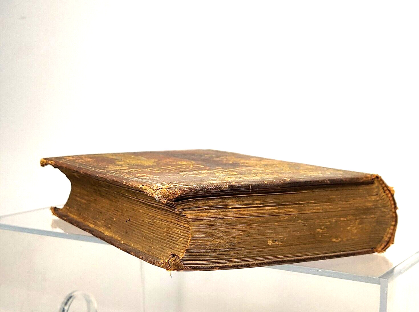 Christ in His Church History of the Catholic Church 1881 Benziger Bros. Antique