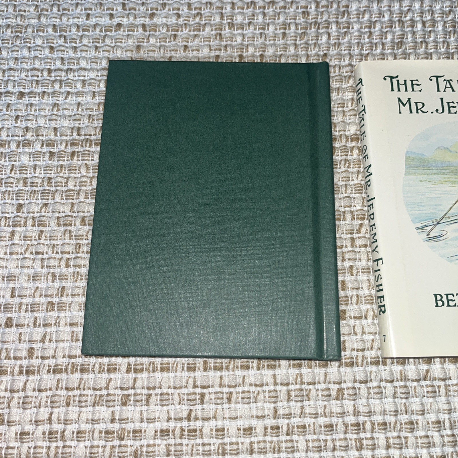 MINT The Tale of Mr. Jeremy Fisher by Beatrix Potter (Hardcover, Dust Jacket)