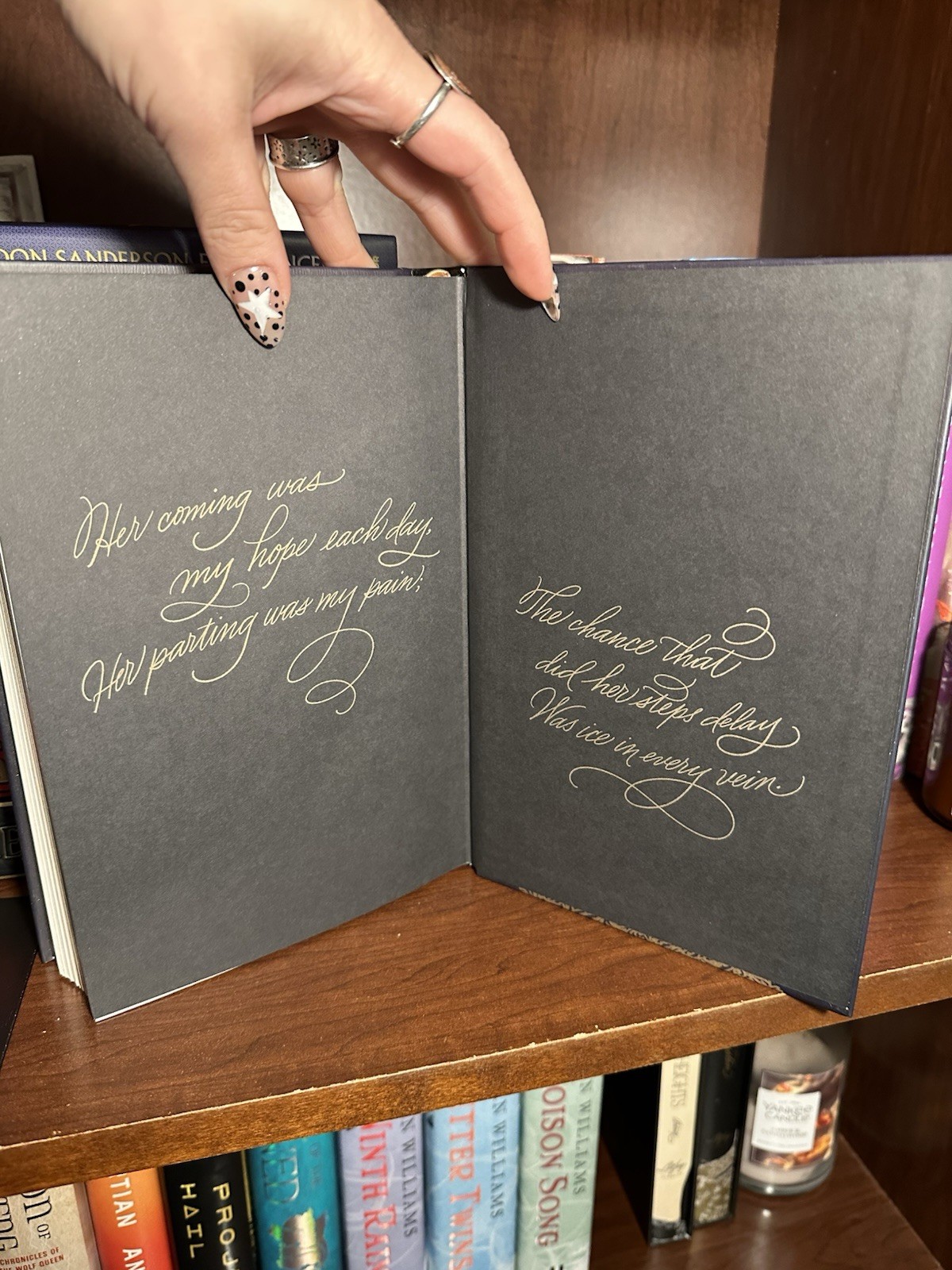LitJoy Classics Collector’s Edition Jane Eyre by Charlotte Brontë Hardcover