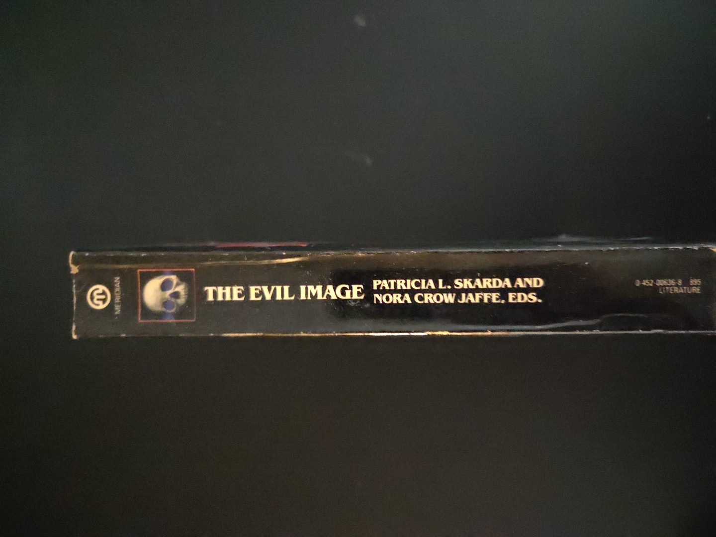 Vintage The Evil Image: Two Centuries of Gothic Short Fiction and Poetry PB King