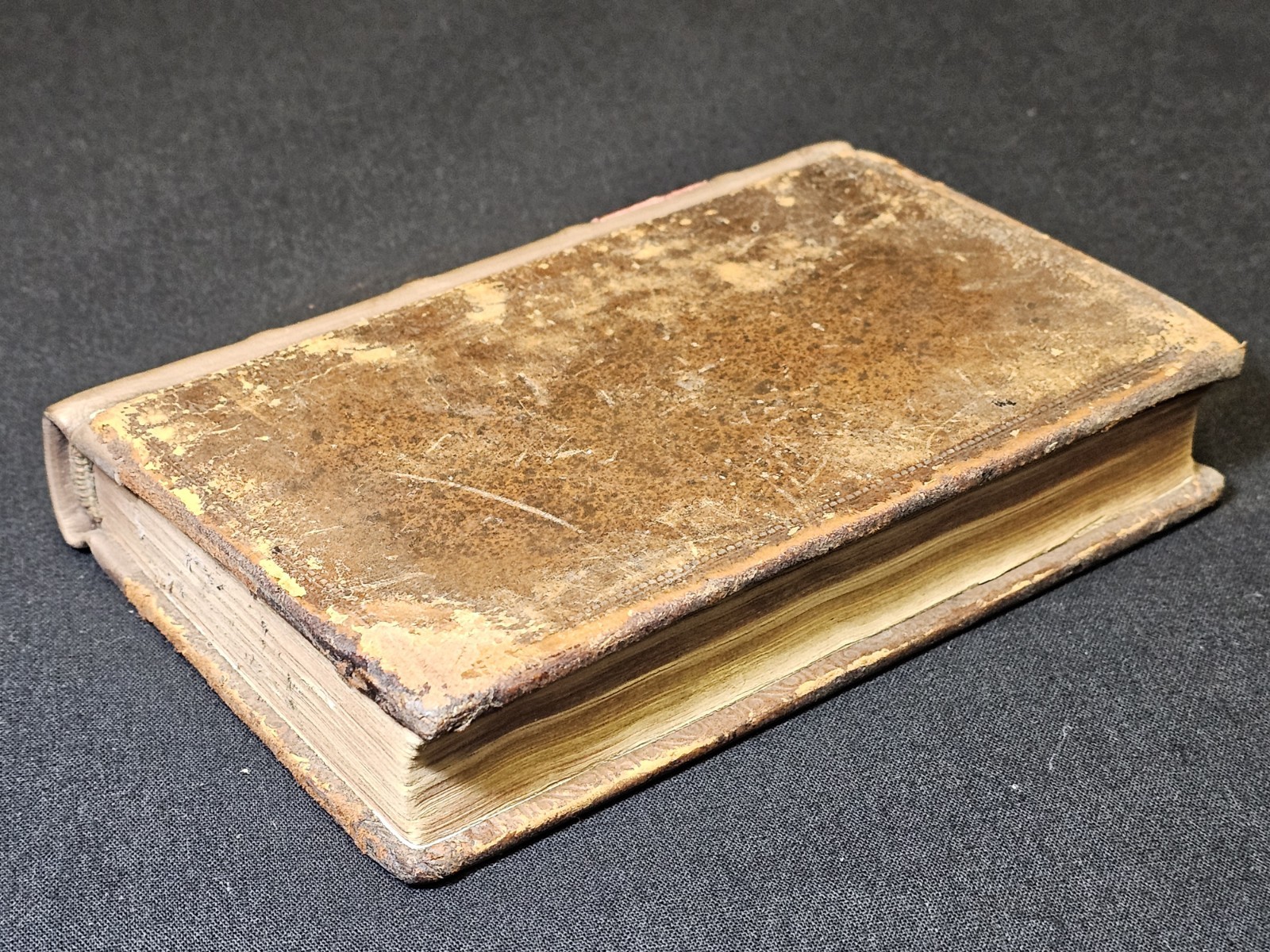1722 Pliny the Younger Caecilii Secundi Epistolae Et Panegyricus ROMAN WORKS