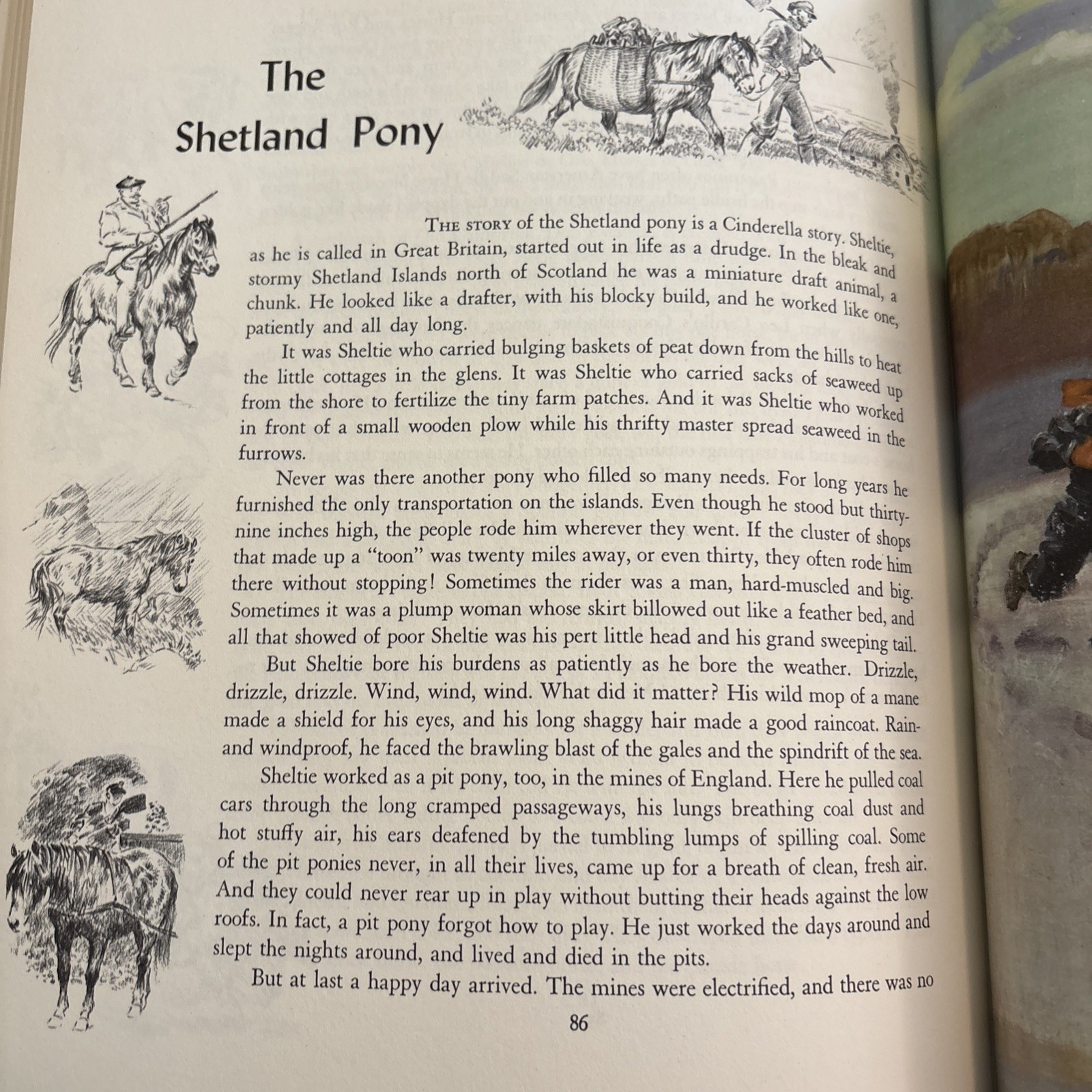 SIGNED Marguerite Henry “Album of Horses” – 1961, Hardcover, Illustrated