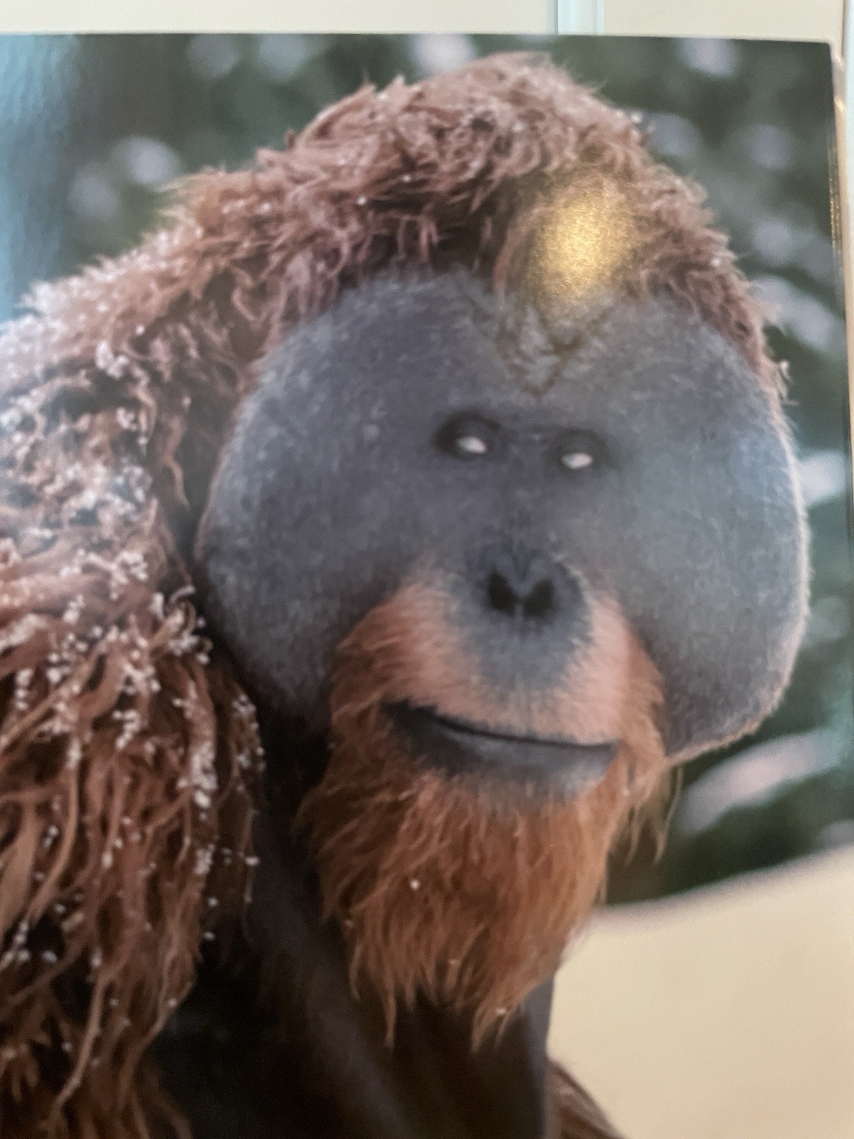 War For The Planet Of The Apes FYC Screener Deluxe DVD Promo 2017 RARE