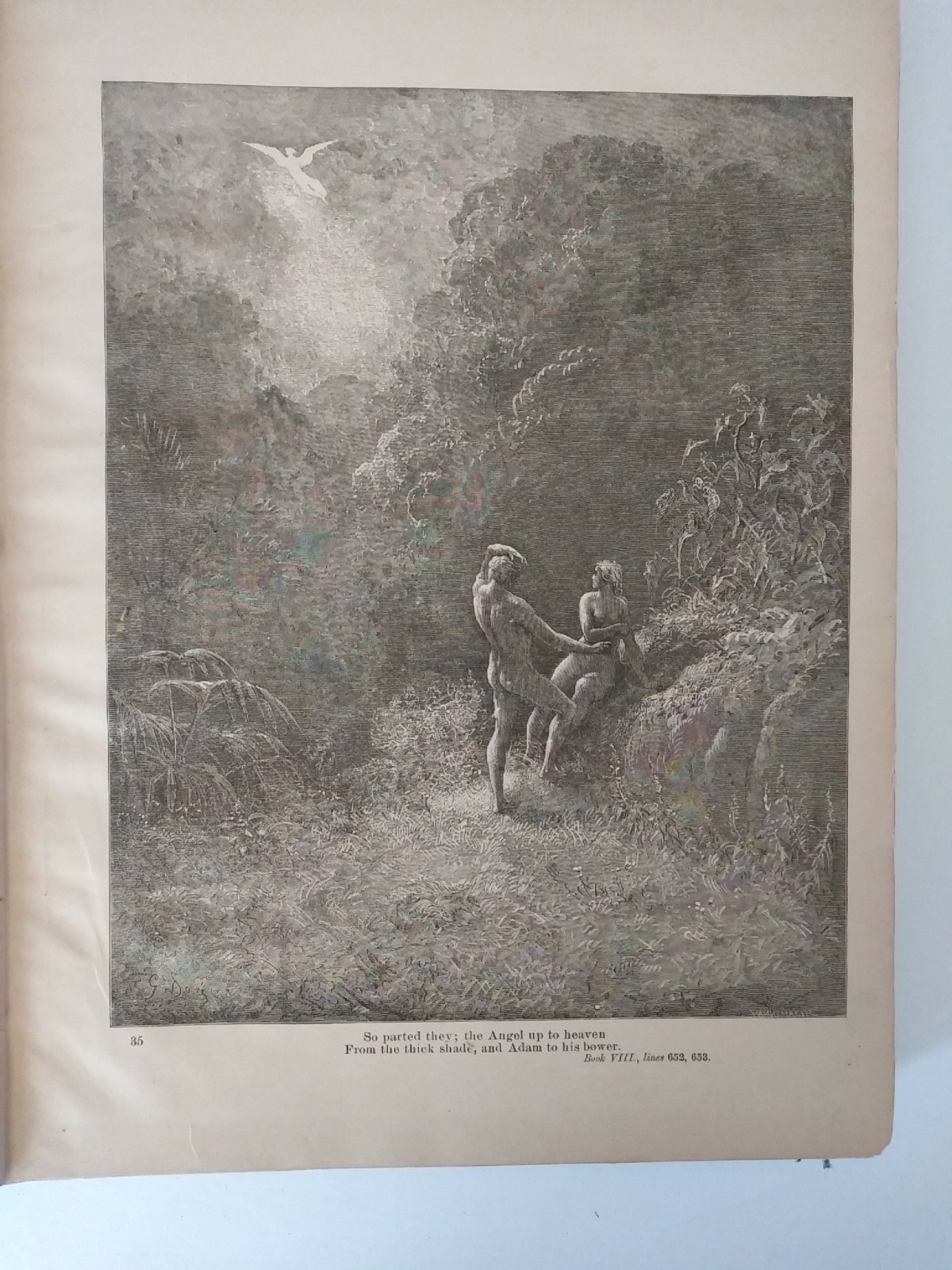Antique John Milton’s Paradise Lost Illustrated By Gustave Dore Dated 1885