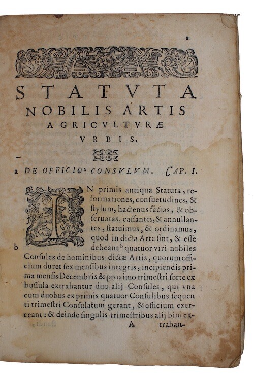 1595 ROMAN AGRICULTURAL STATUTES History ROME Agriculture FARMING Vellum Binding