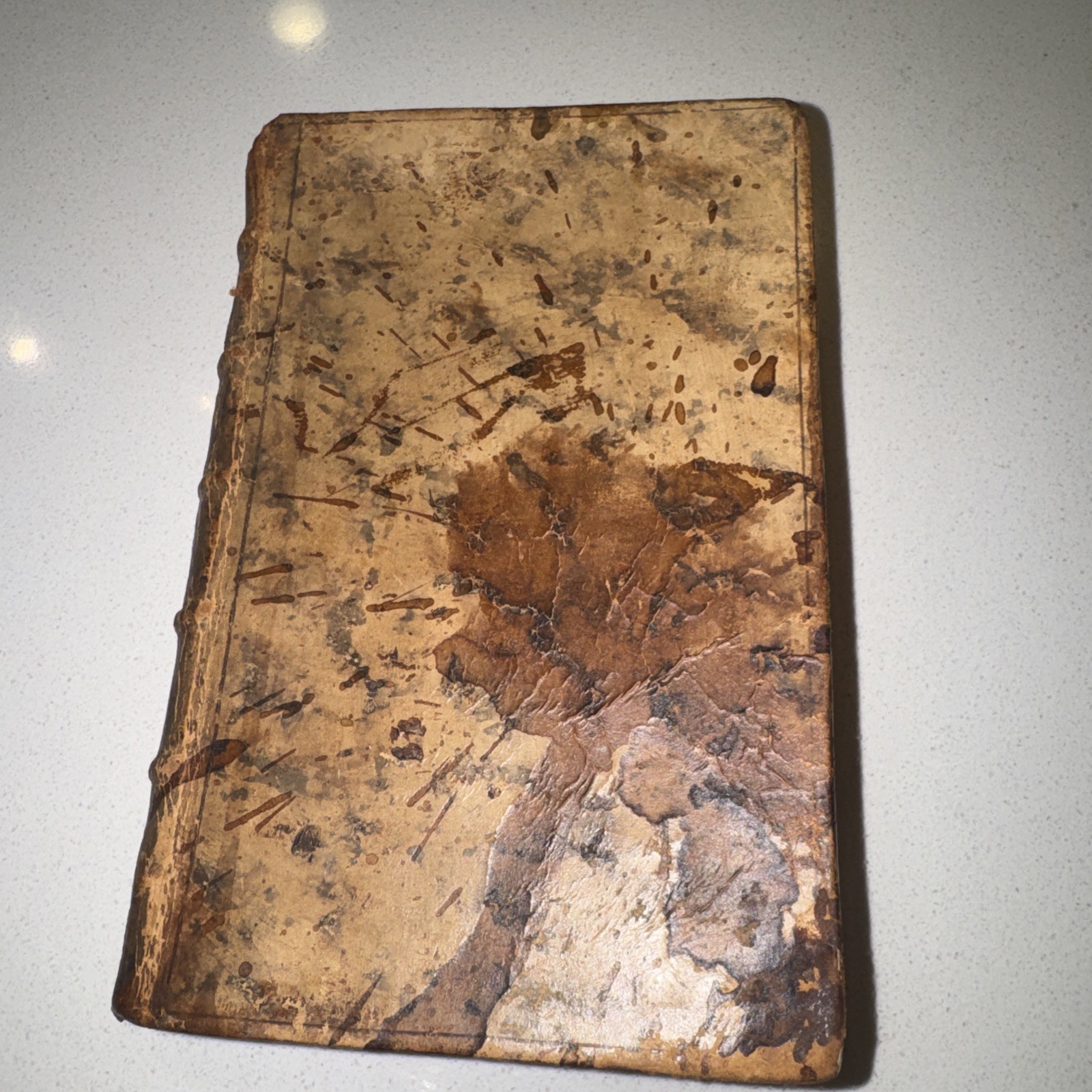 Antique Homer Opera Latin Edition Book Dated 1744