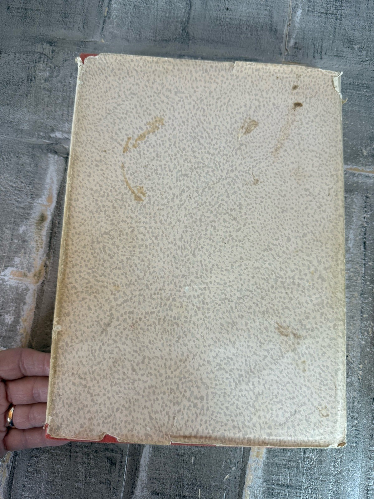 The Antiques Book