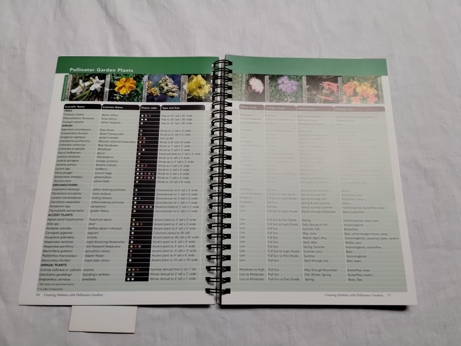 Pollinators of the Sonoran Desert by N. Chambers; Yajaira Gray; S. Buchma SIGNED