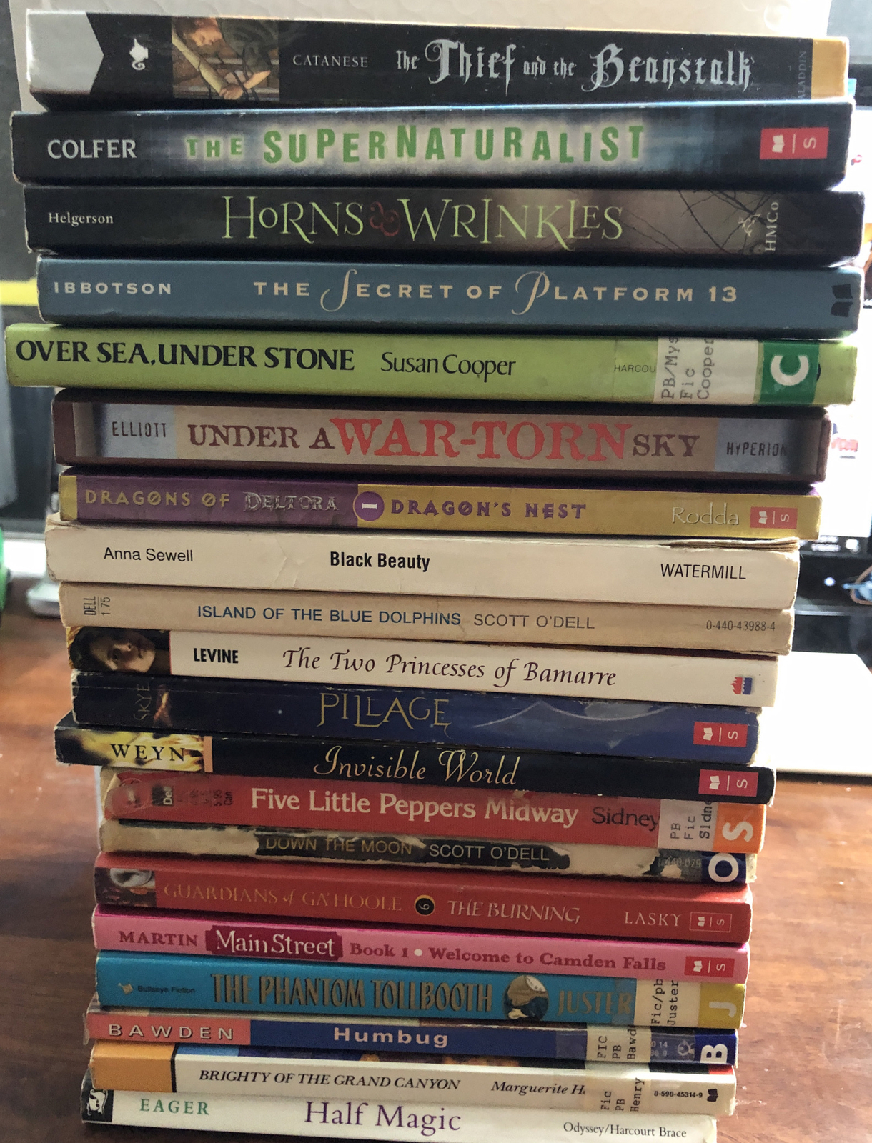 Lot of 20 Chapter Children Young YOUTH RANDOM UNSORTED BOOKS MIX Exlib