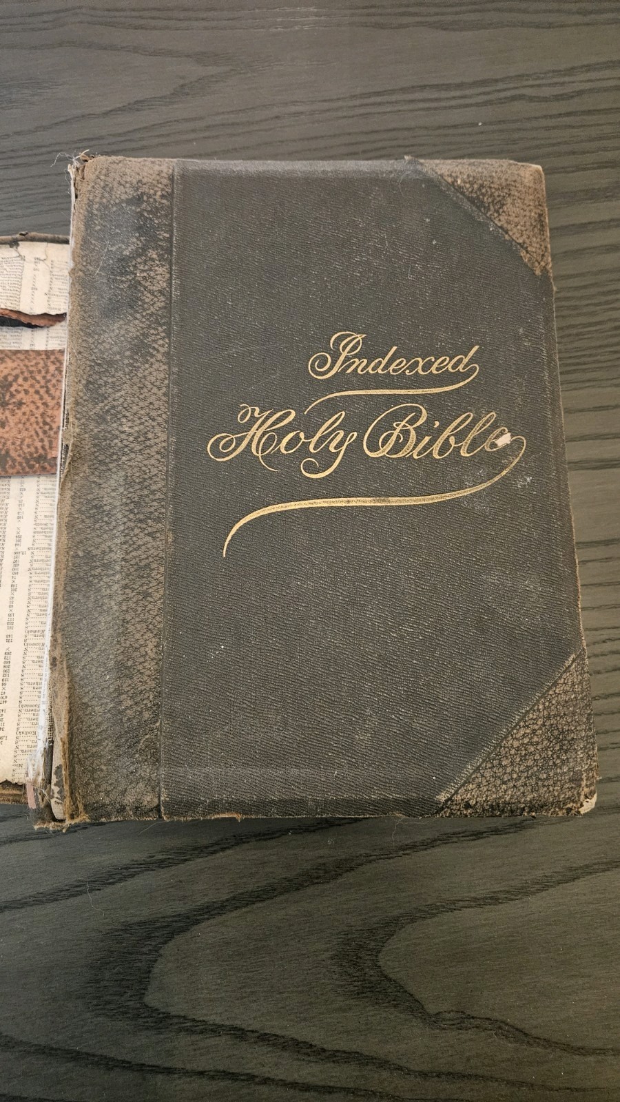 Indexed Holy Bible 1902