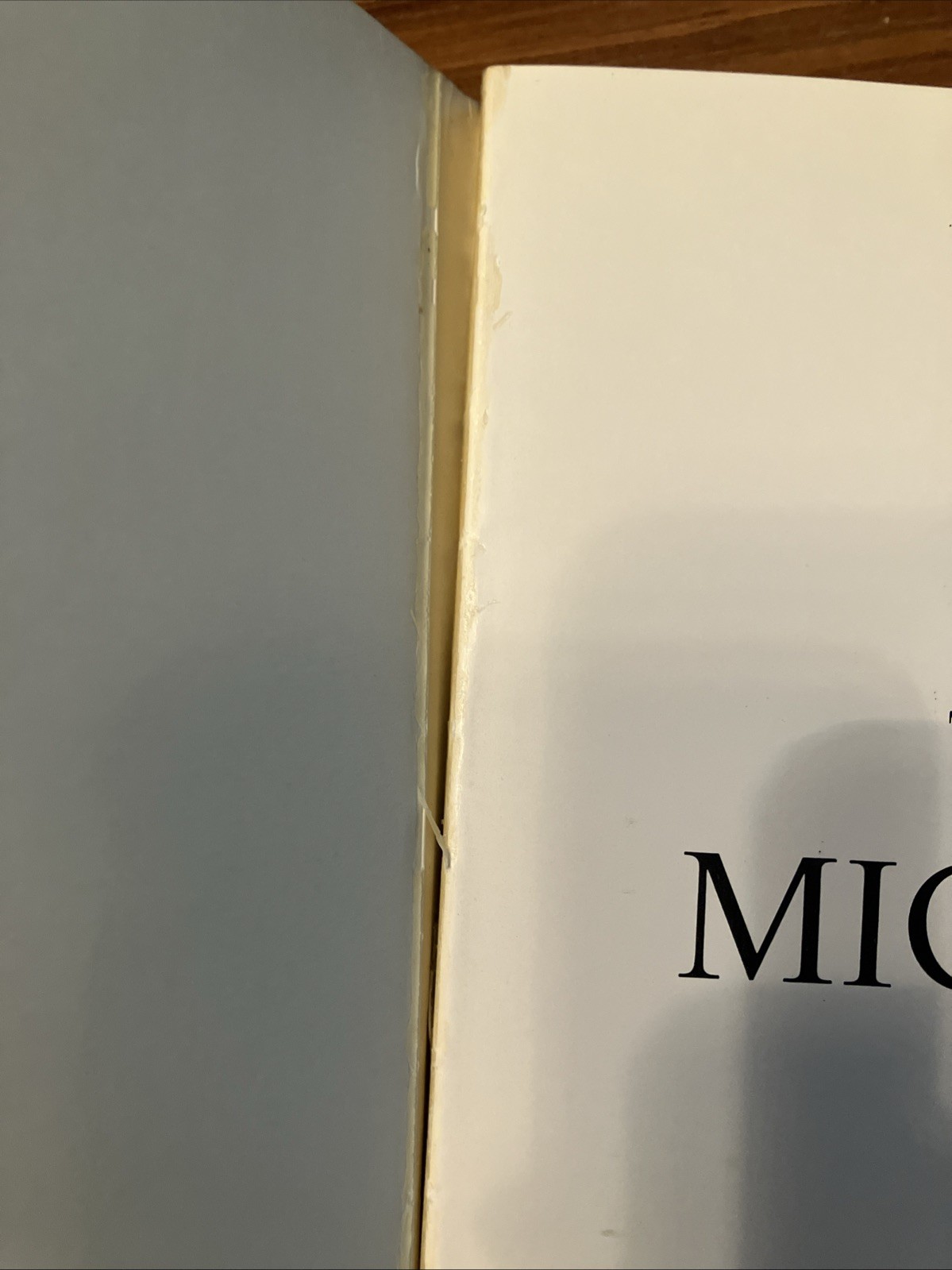 Michel-Ange Toutes Les Oeuvres 1969 Printing In French W/Removable Plastic Cover