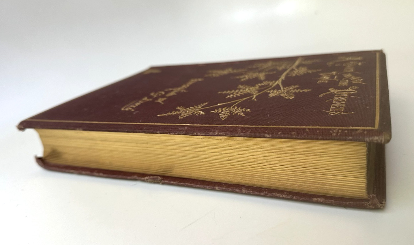 Hippolyte TAINE & Gustave DORÉ / Tour Through the Pyrenees 1st Edition 1874 HOLT