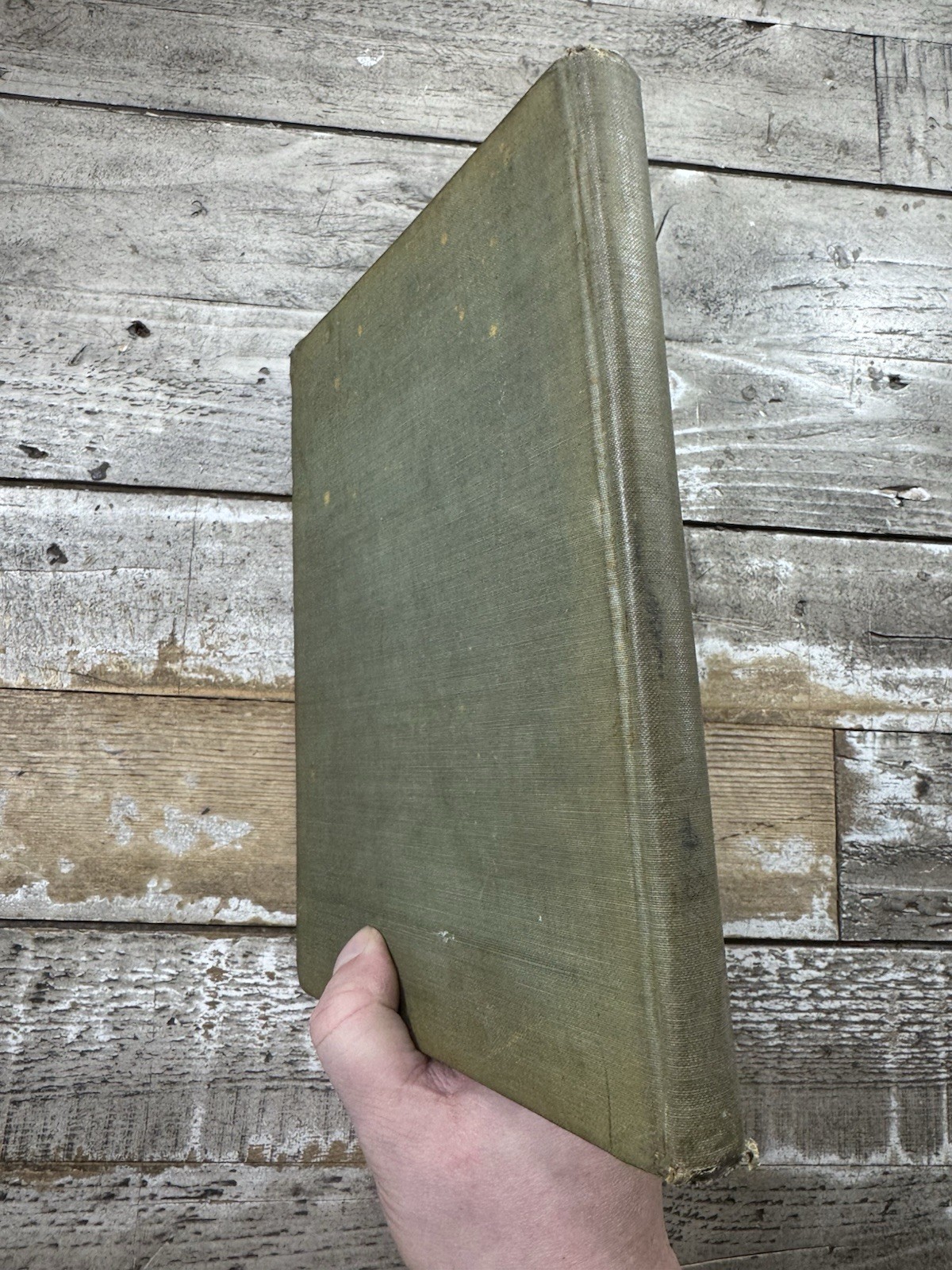 1900 Antique Juvenile Fiction Book “A Merry Little Visit With Auntie” Illustra.