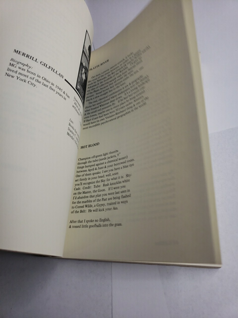 None of the Above, New Poets Of the USA, Patti Smith, Alice Notley, Joe Brainard