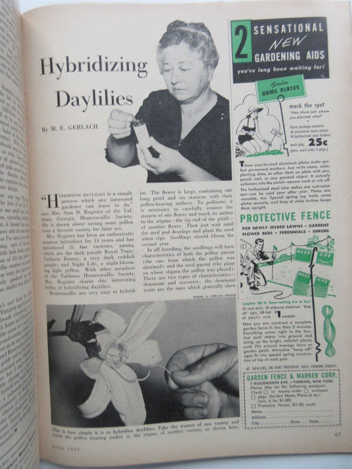 Flower Grower Magazine Vintage June 1953 Gardening – Iris, roses