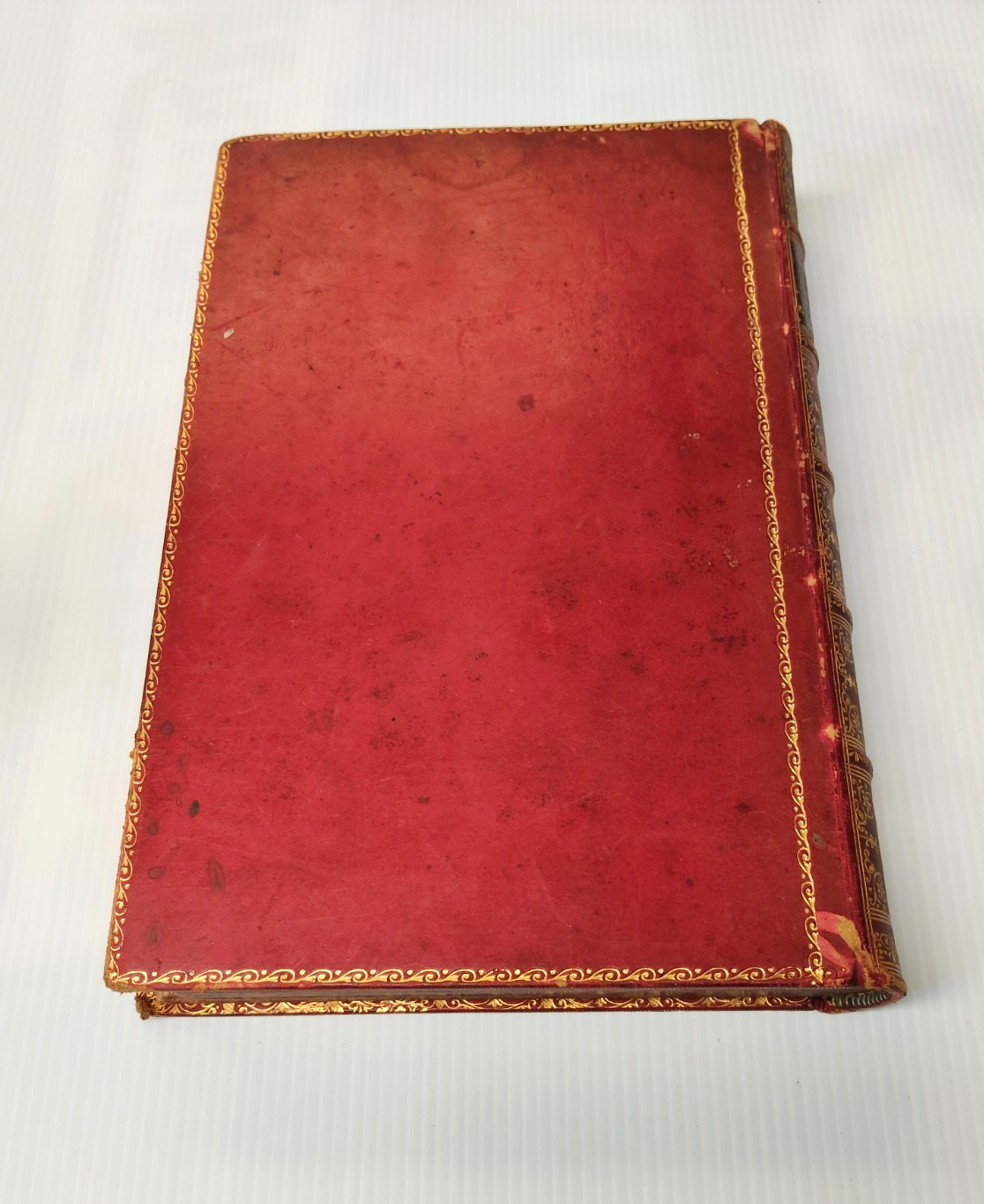 Stunning Antique Book 1893 Michelet Nature Embossed Leather Ipswich Grammar -AF