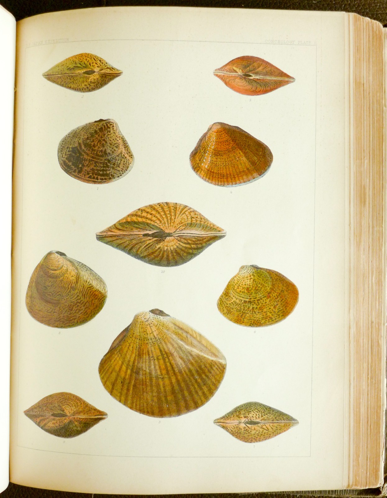 1856 1st Edition. Perry’s Expedition to Japan and the China Vol 2