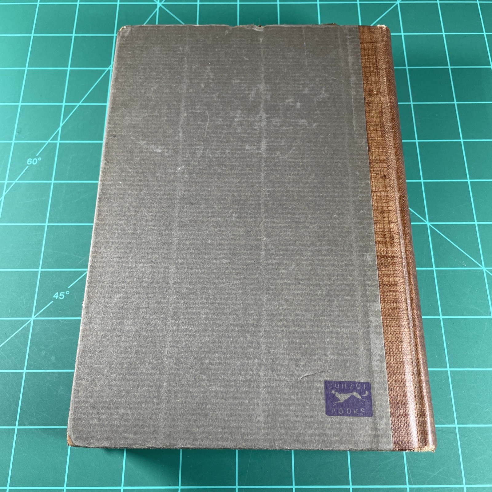 Vintage 1928 Book THE DEVIL by Alfred Neumann ~ Hardcover Alfred A Knopf