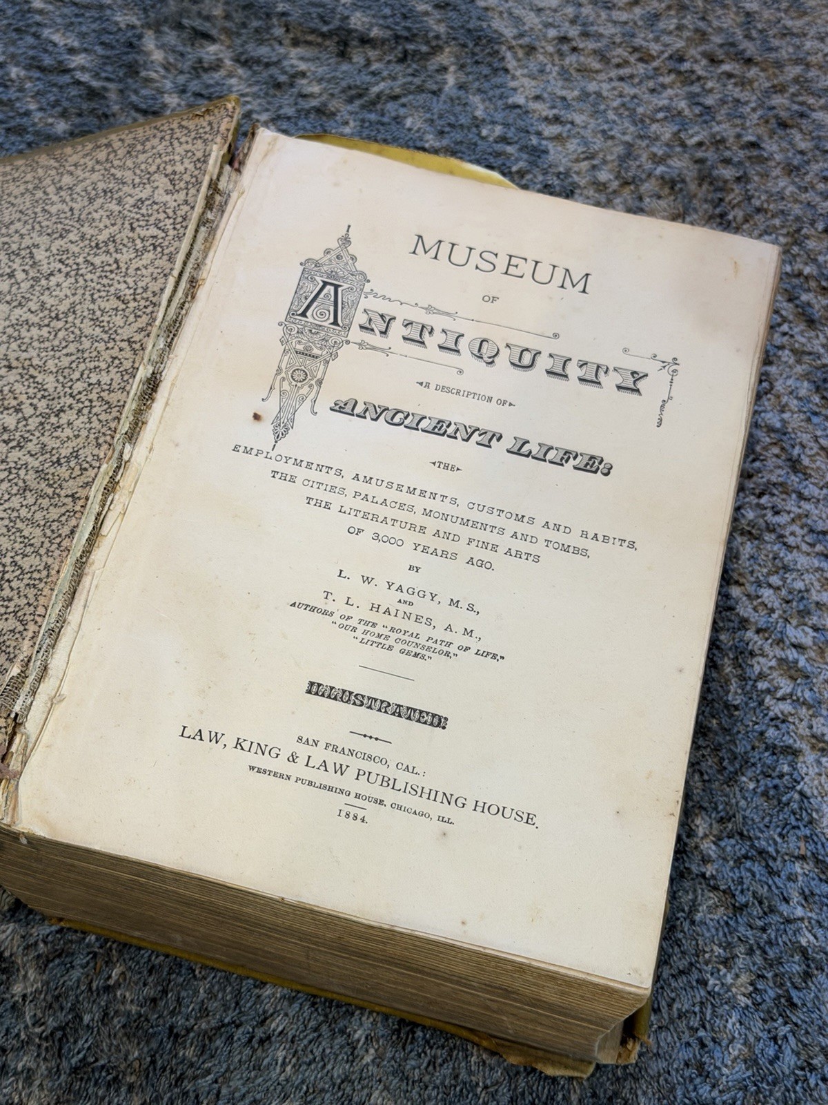 MUSEUM OF ANTIQUITY Vintage Hardcover Book Illustrated 1880 Ancient Life
