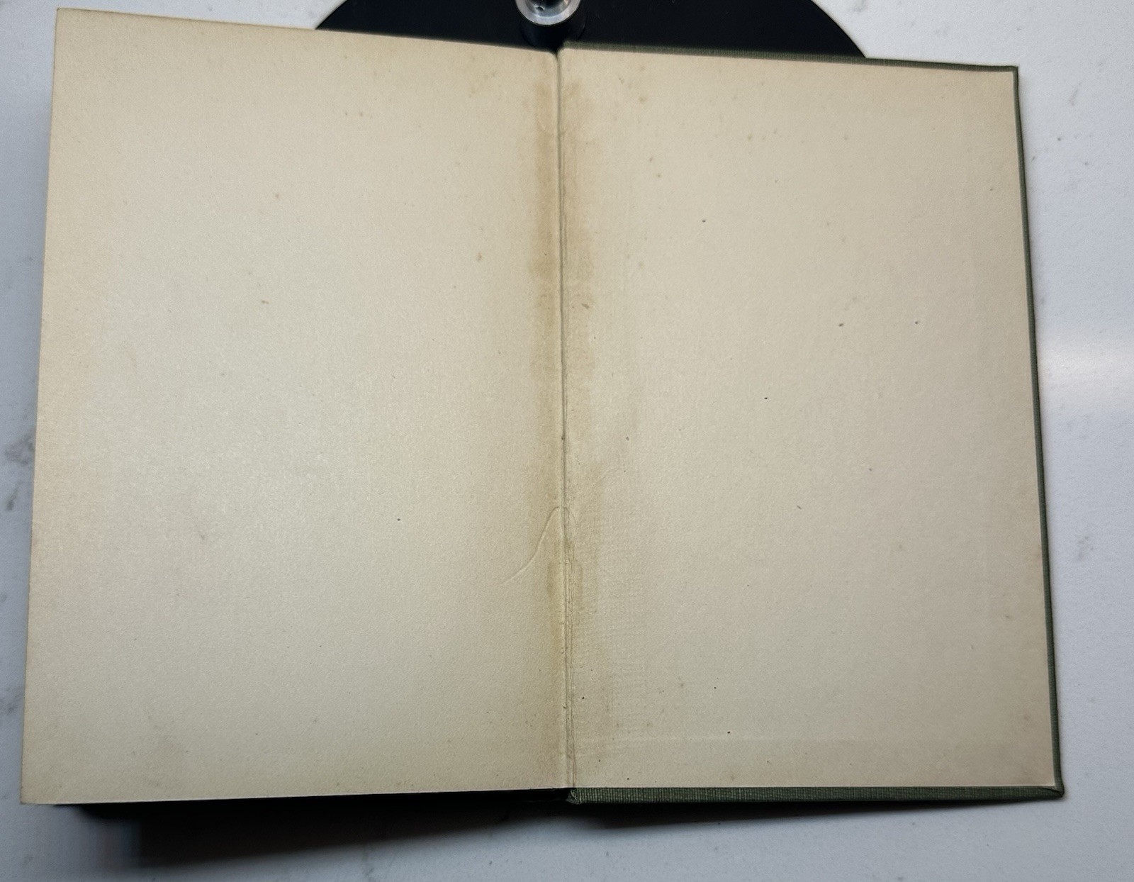 Antique 1898 The Rose Bush HC Book Canon Schmid Benzinger Brothers