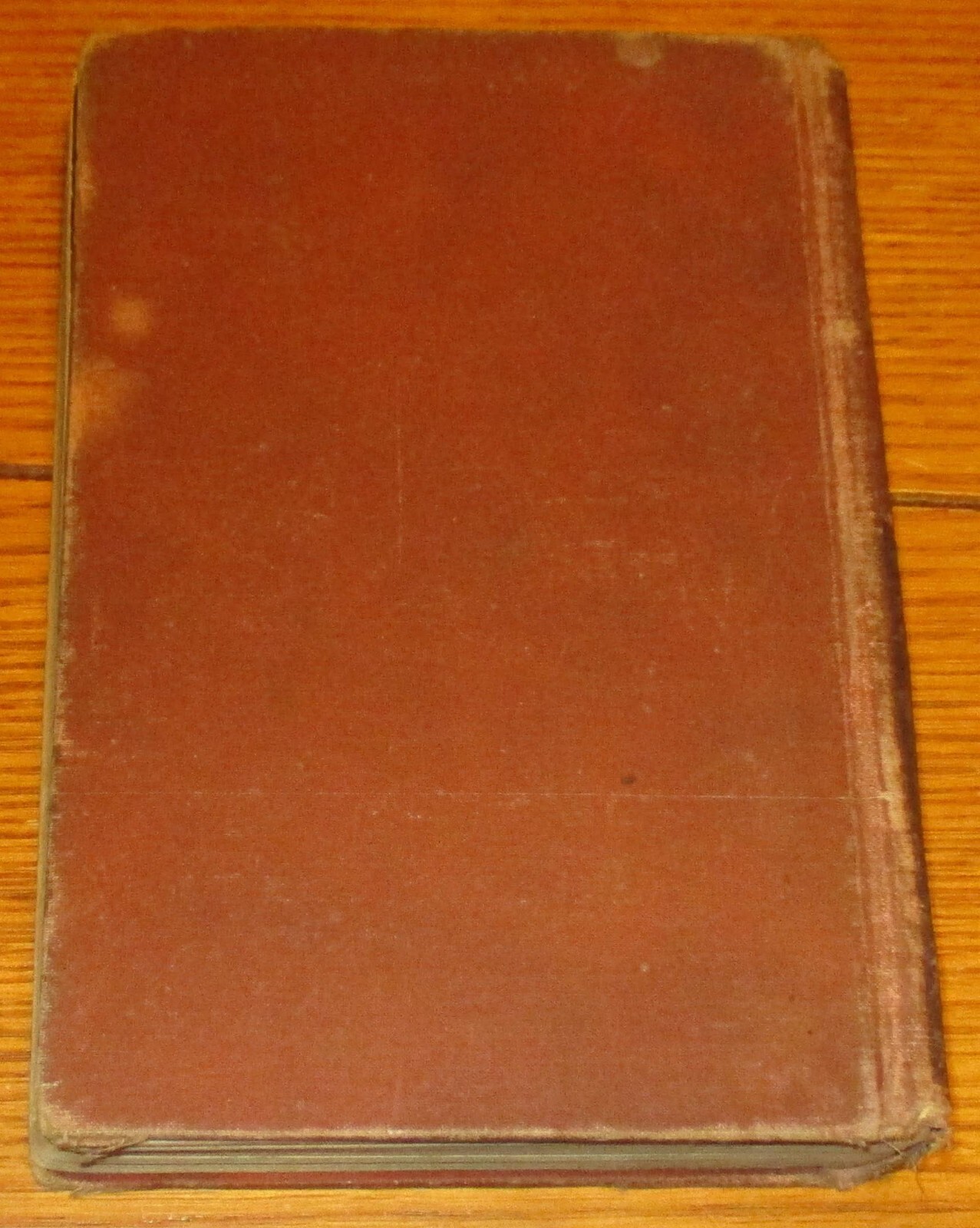 Vintage Pique A Tale of the English Aristocracy Alta Edition H/C 416 Pages