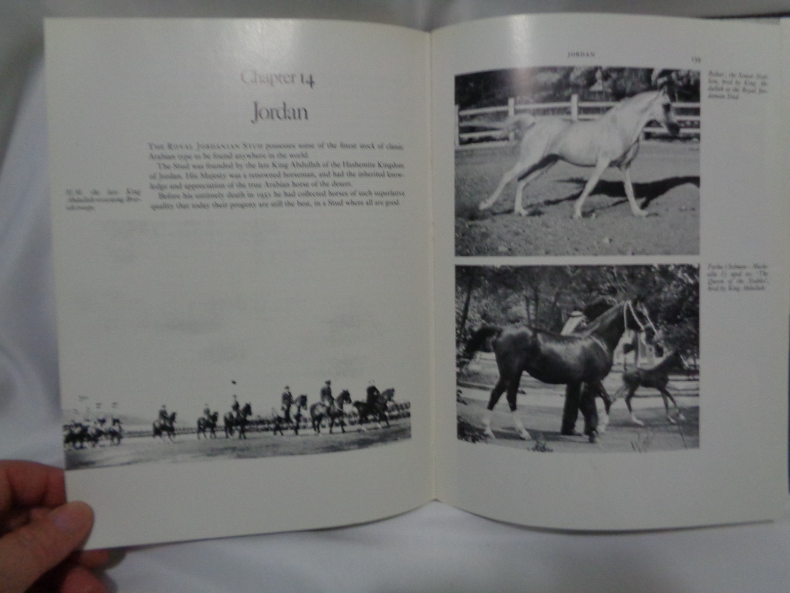 Arabian Exodus Horse Breed History Greeley Original Dustcover