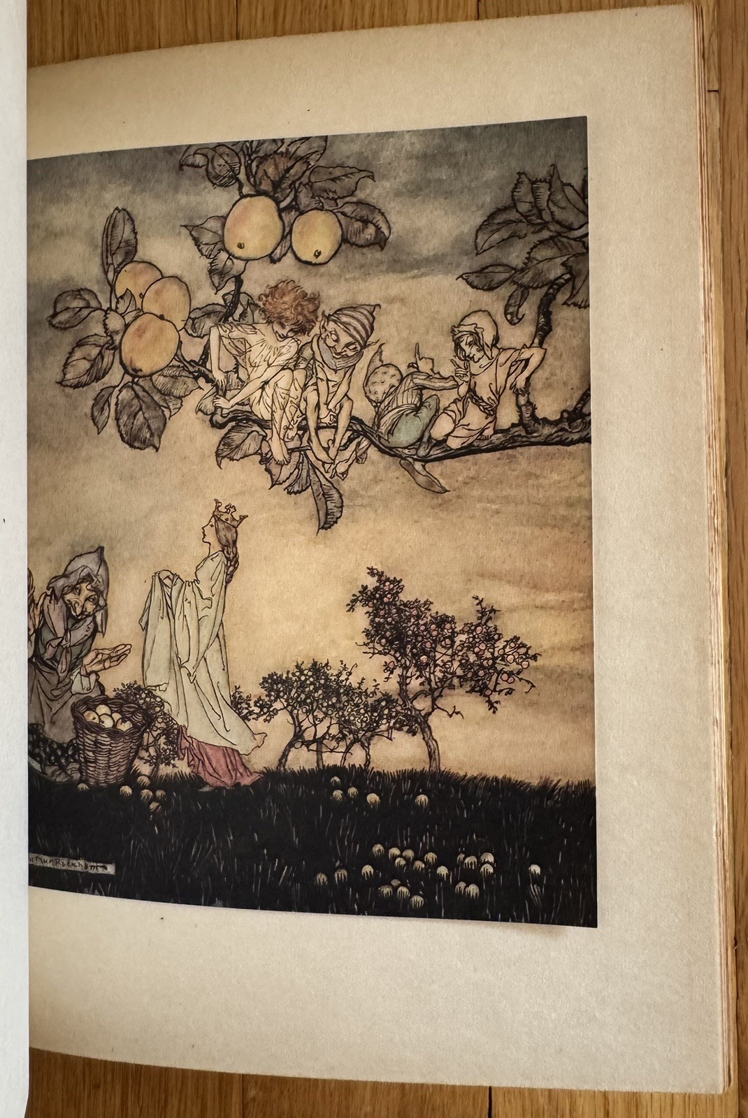 Fine Leather Binding Arthur Rackham A Dish of Apples Color Plates 1921 Book