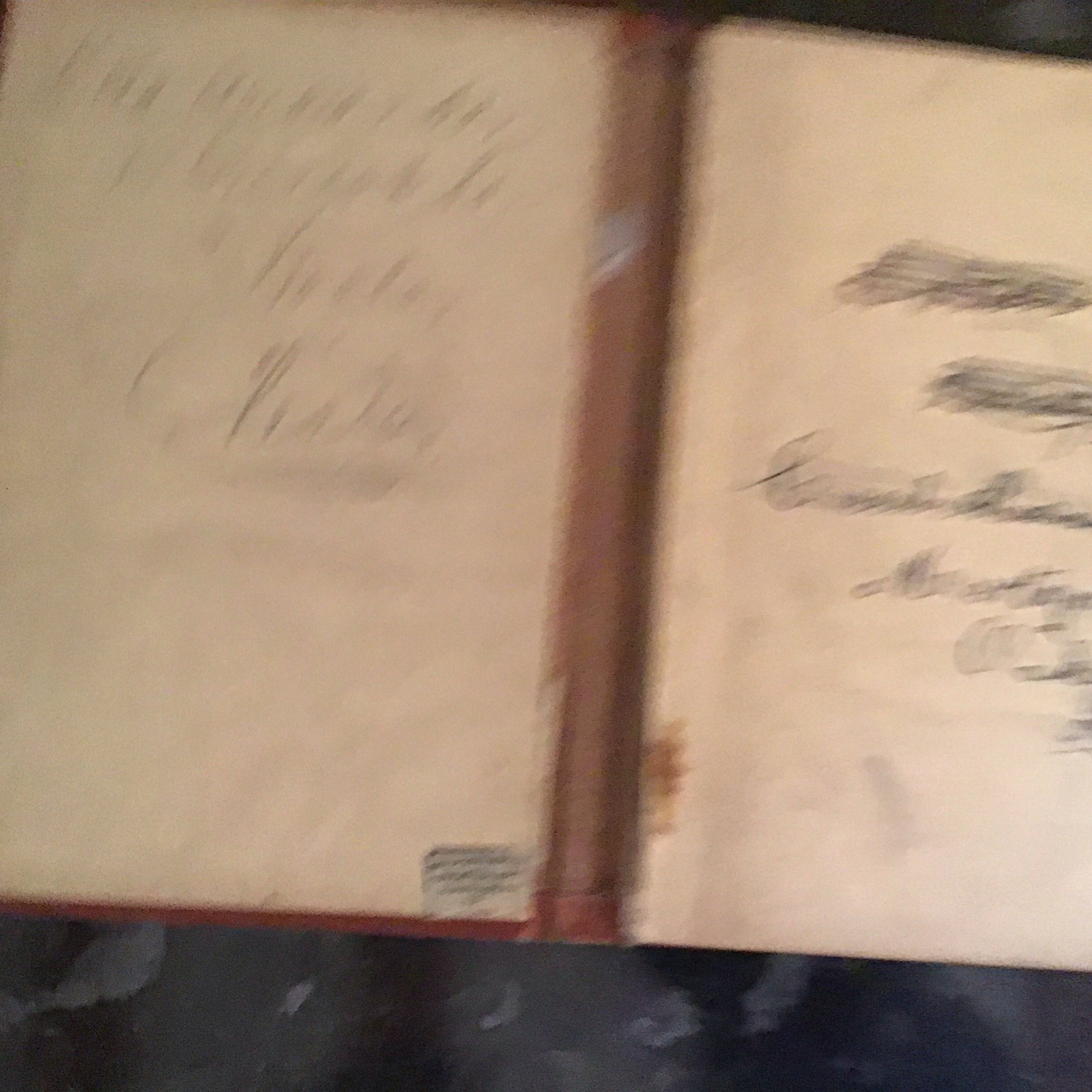 Antique Books: Polly’s Victory And Only A Bunch Of Cherries