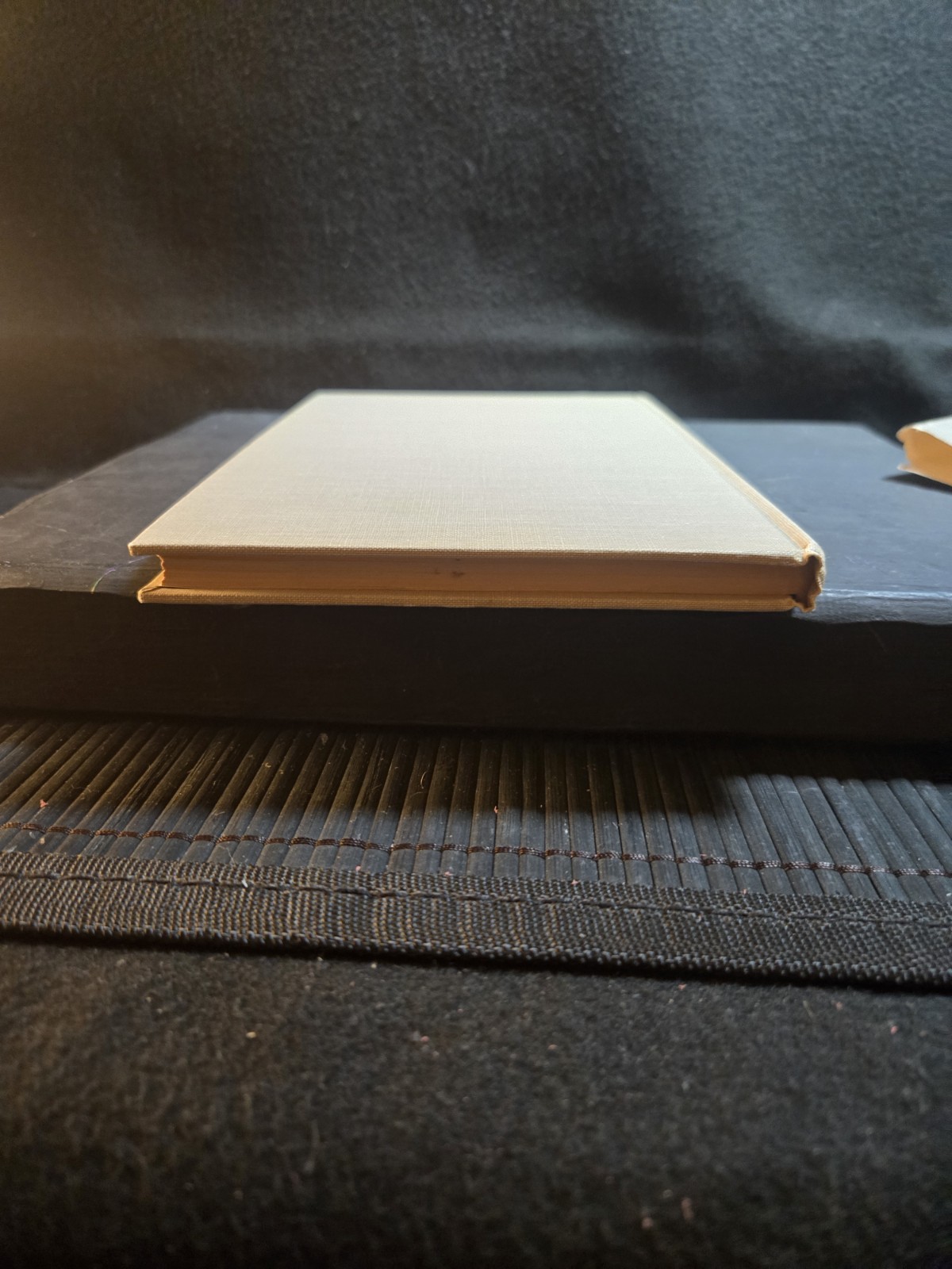 A Guide to Parliamentary Practice 1938 by W. I. Nolan 110 Pages