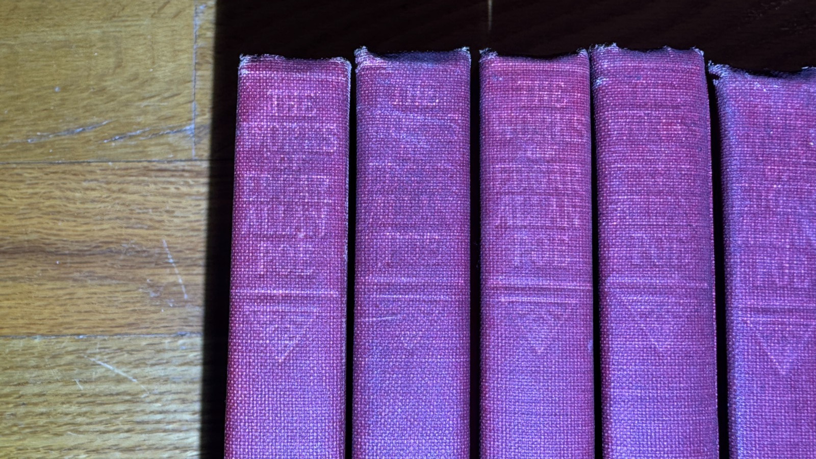 1904 Works of Edgar Allan Poe Cameo Edition 1-10, missing #9 Funk & Wagnalls