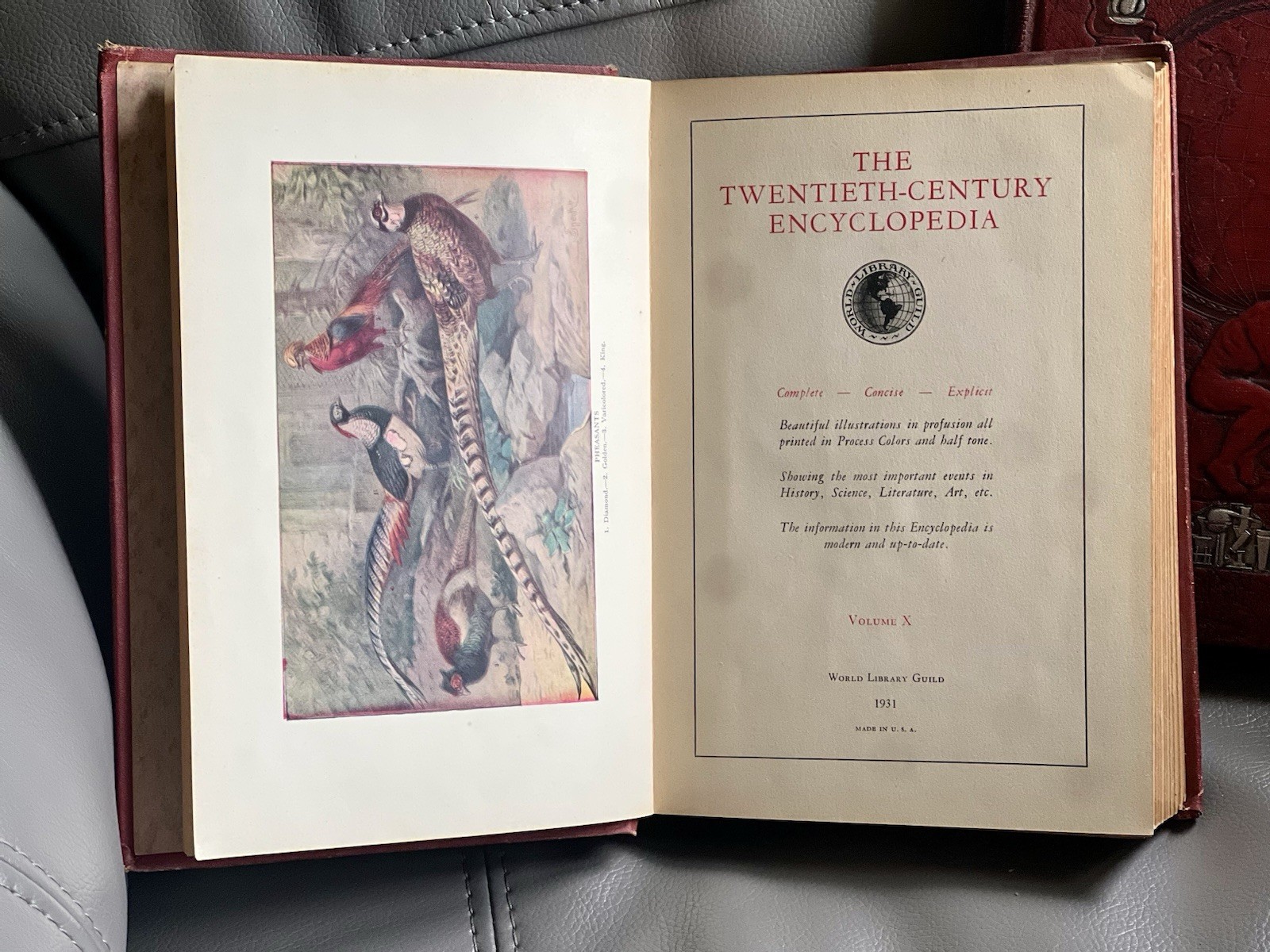 Beautiful embossed red hardcovers from 1931. Volumes VII & X