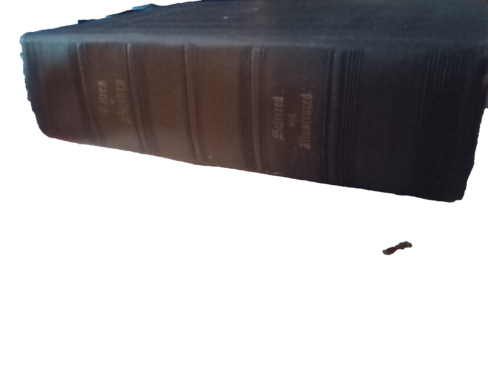 Lives of Saints Selected and Illustrated 1954 John J. Crawley Ed.. Very good. Ol