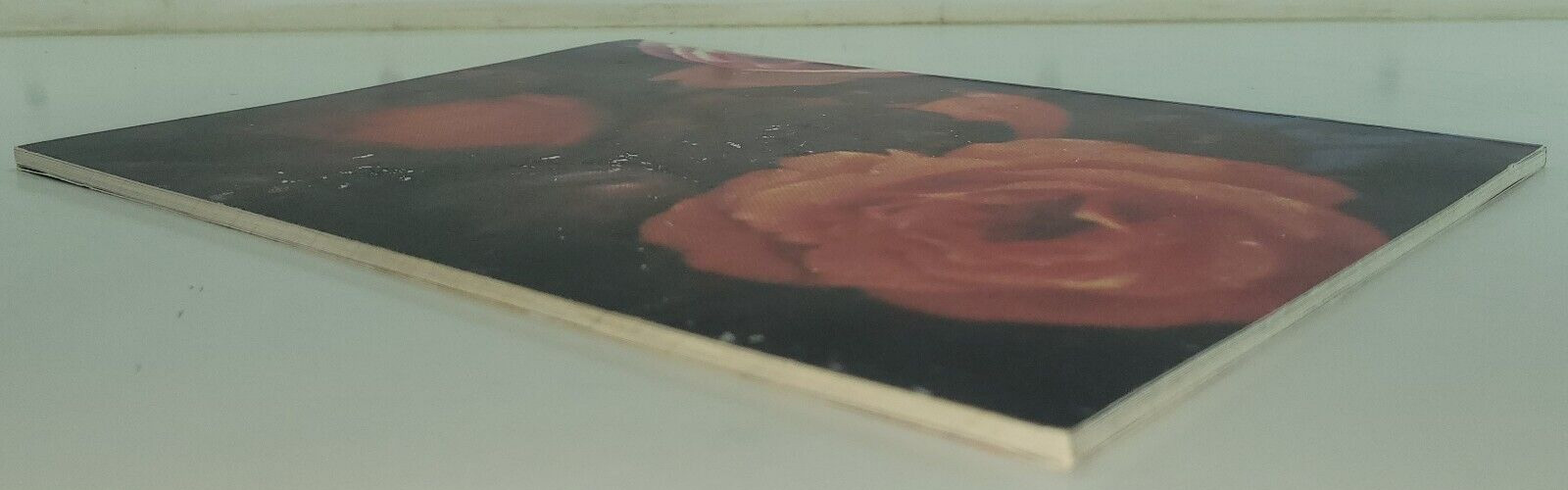 Richard Prince Gladstone Gallery 1988 1st Edition Exhibition Catalogue G/VG