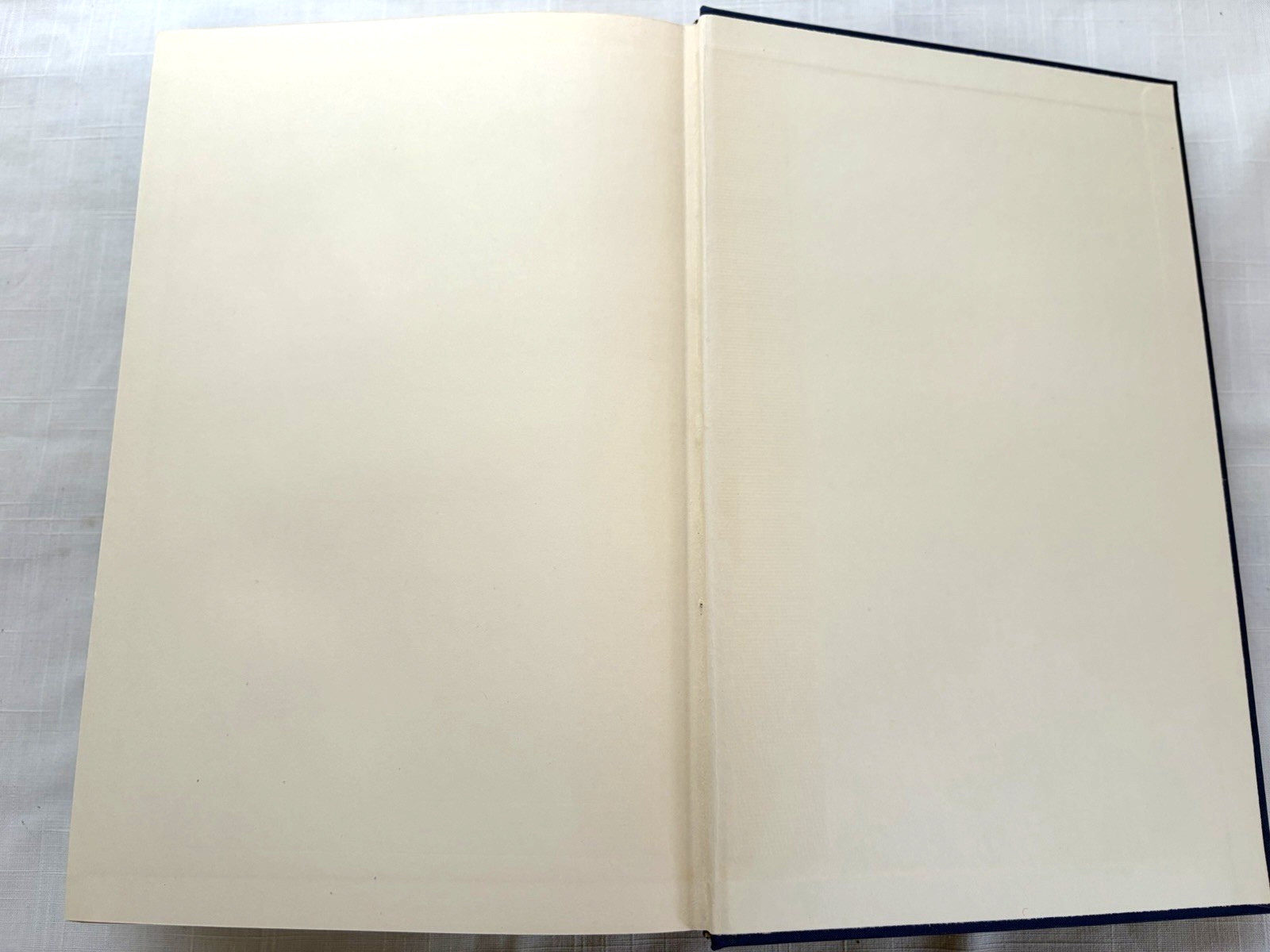 Le Grand Meaulnes The Wanderer Alain-Fournier Slip Case Color Illustrated 1958