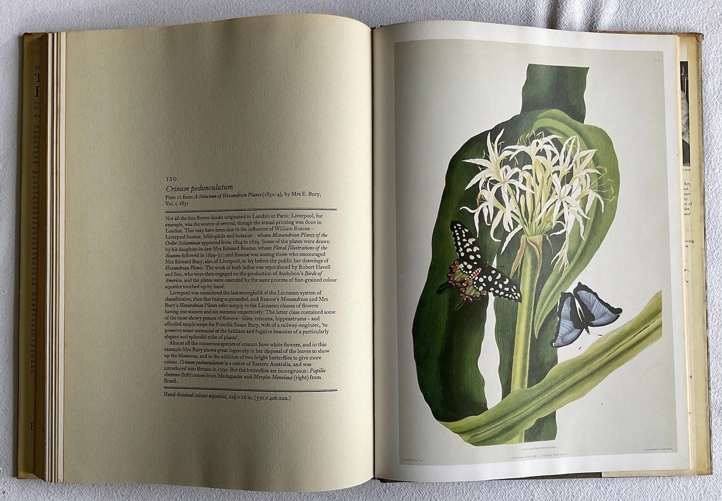 Collectable Vintage The Book of Flowers by Alice M. Coats. Large H/B Book, 1973