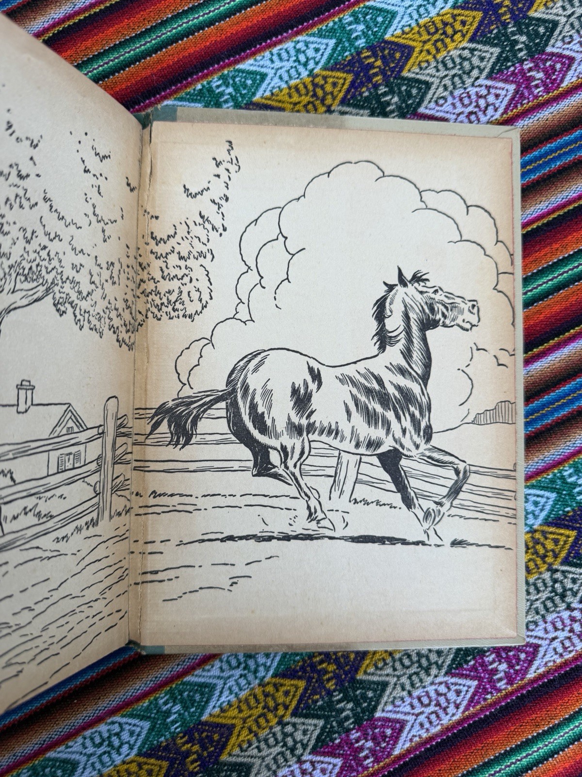 Black Beauty by Anna Sewell (1938, HC) Illustrated Vintage Book