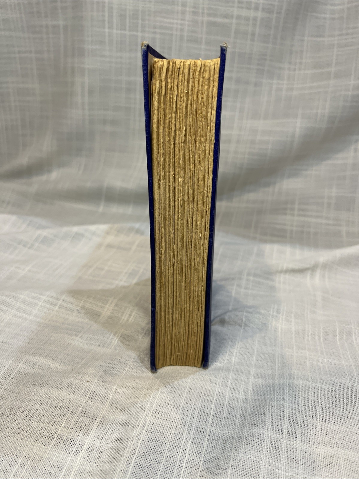 Astrology Your Place In The Sun 3rd Print 1928 HC Evangeline Adams Mystic *READ