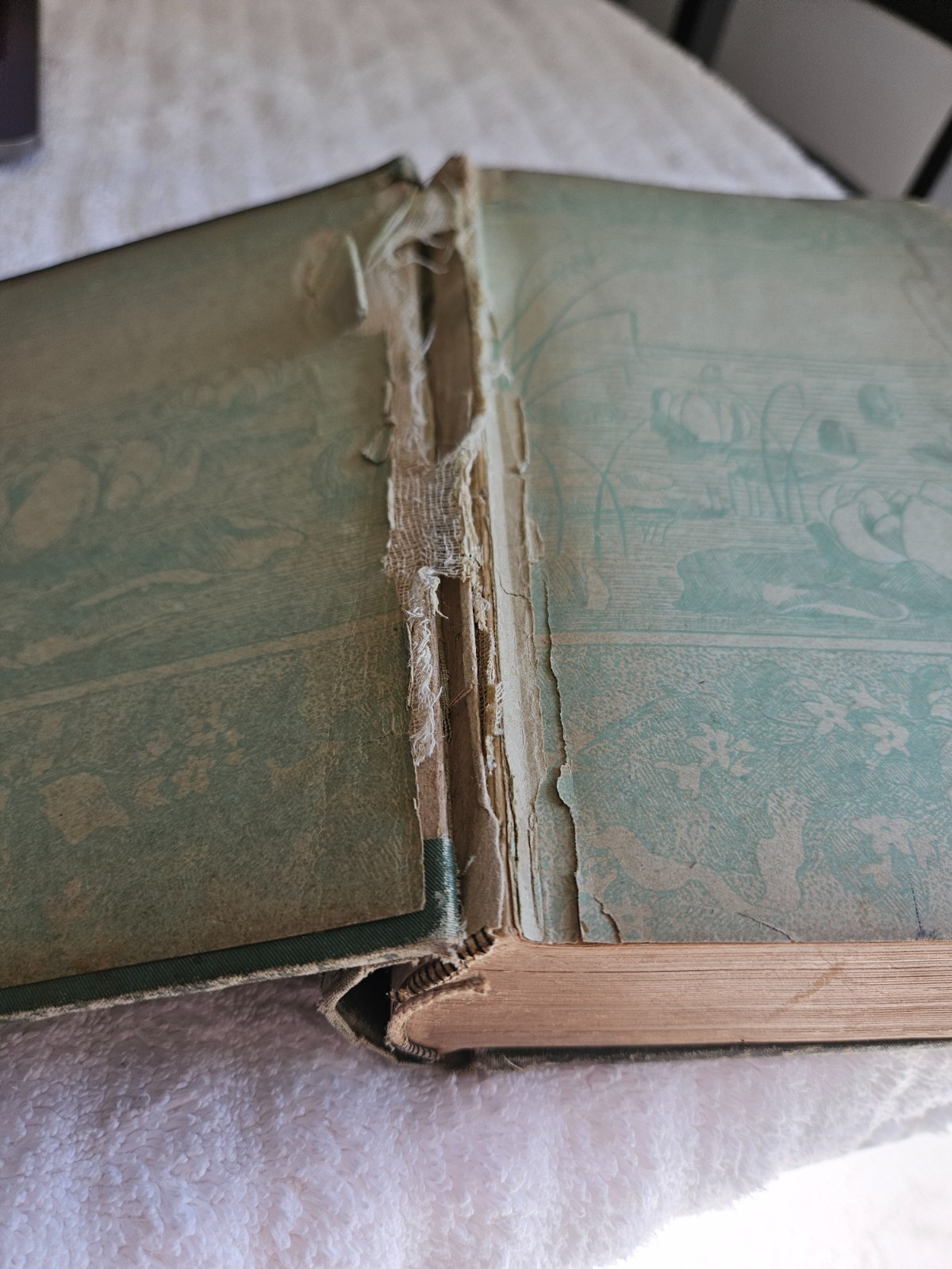Antique Victorian 1889 Ornate Embossed Gilded Book GLIMPSES OF FIFTY YEARS