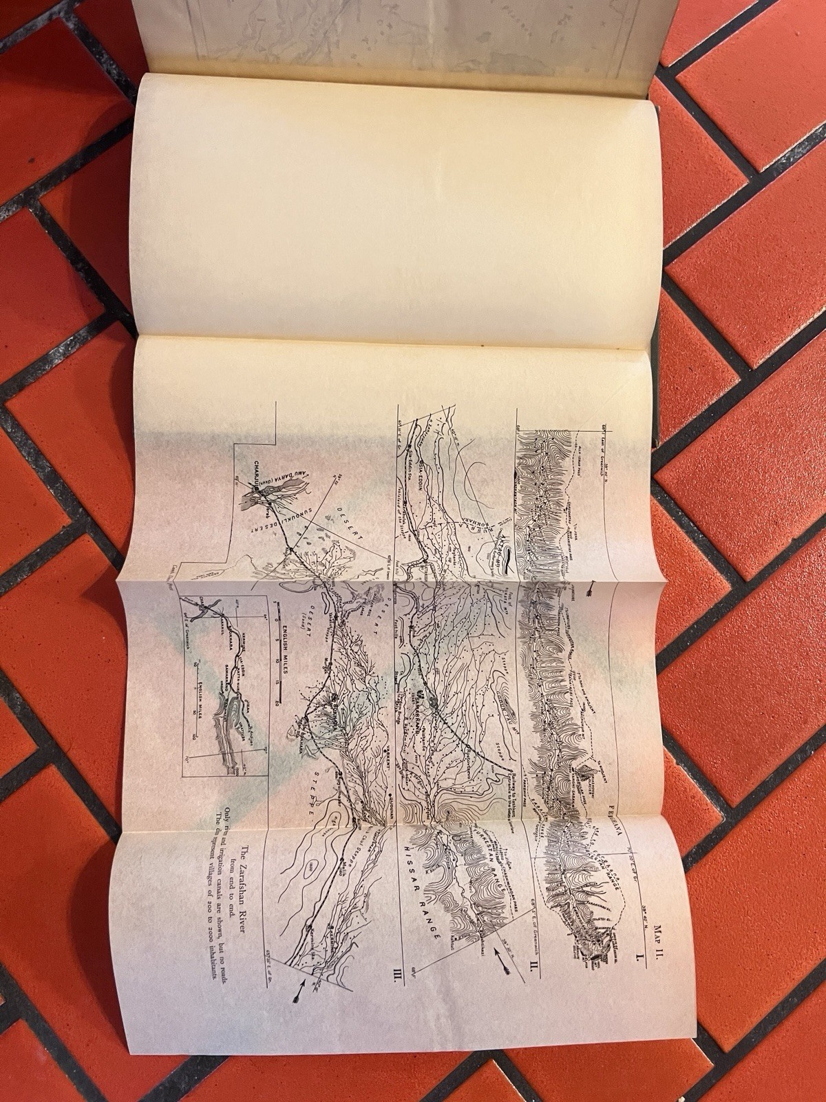 1913 The Duab of Turkestan W. Rickmer Rickmers Illustrated 1st Edition With Maps