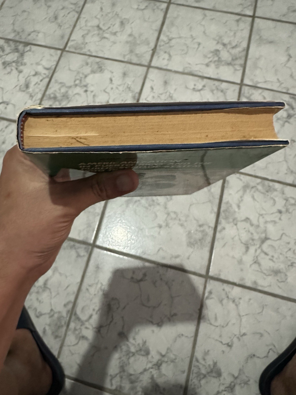 AMERICANIZATIONIN PUERTO RICO AND THE PUBLIC-SCHOOL SYSTEM 1900-1930