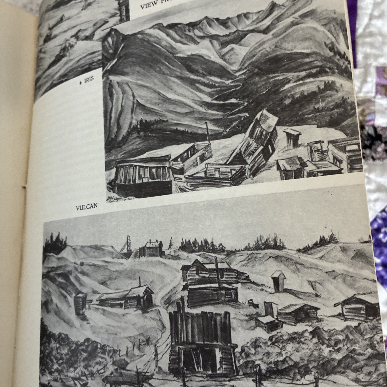 Stampede to Timberline Muriel Sibell Wolle 1957 Western Mining History