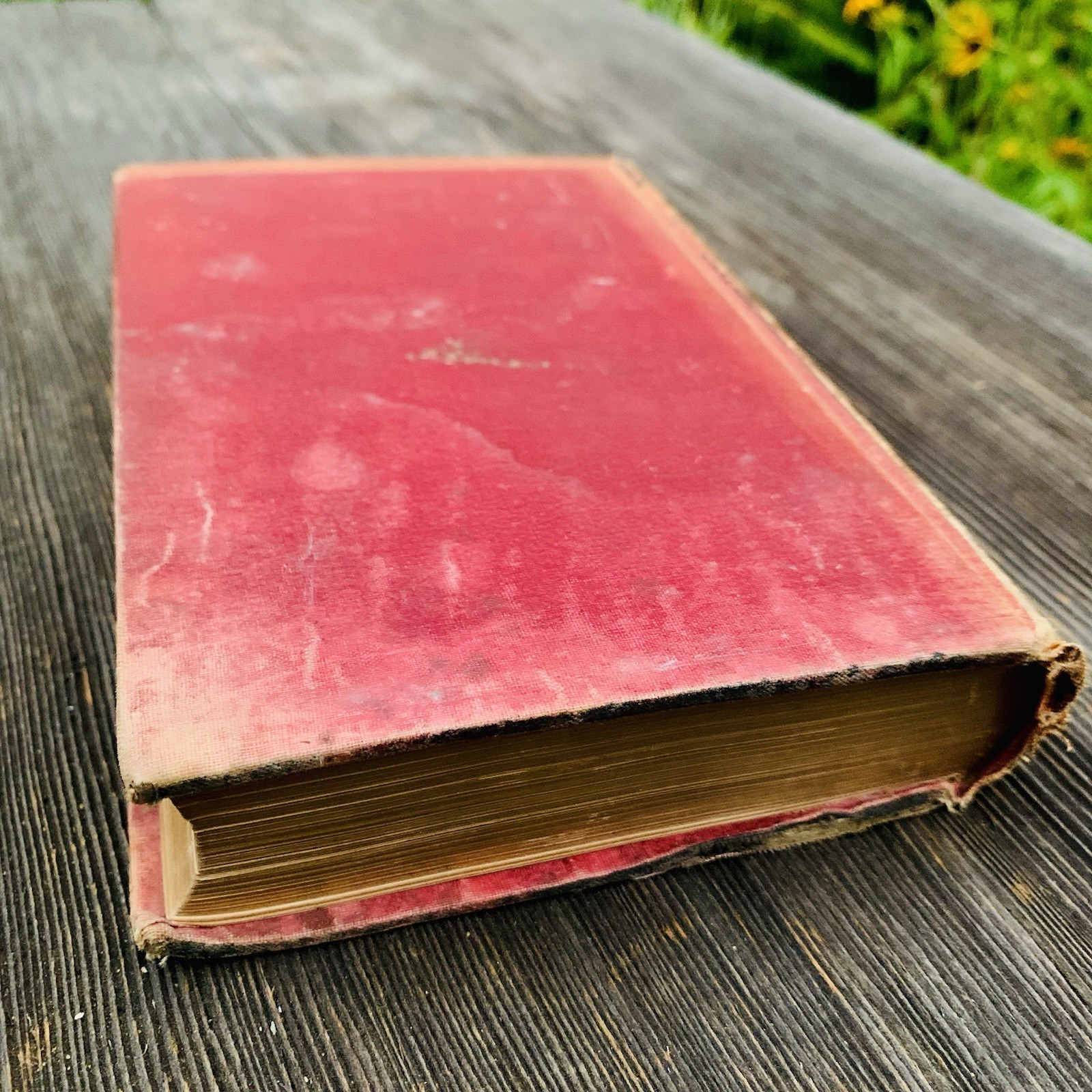 1886 The Poetical Works of John Milton Fine Decorative Binding Gilt Edges READ