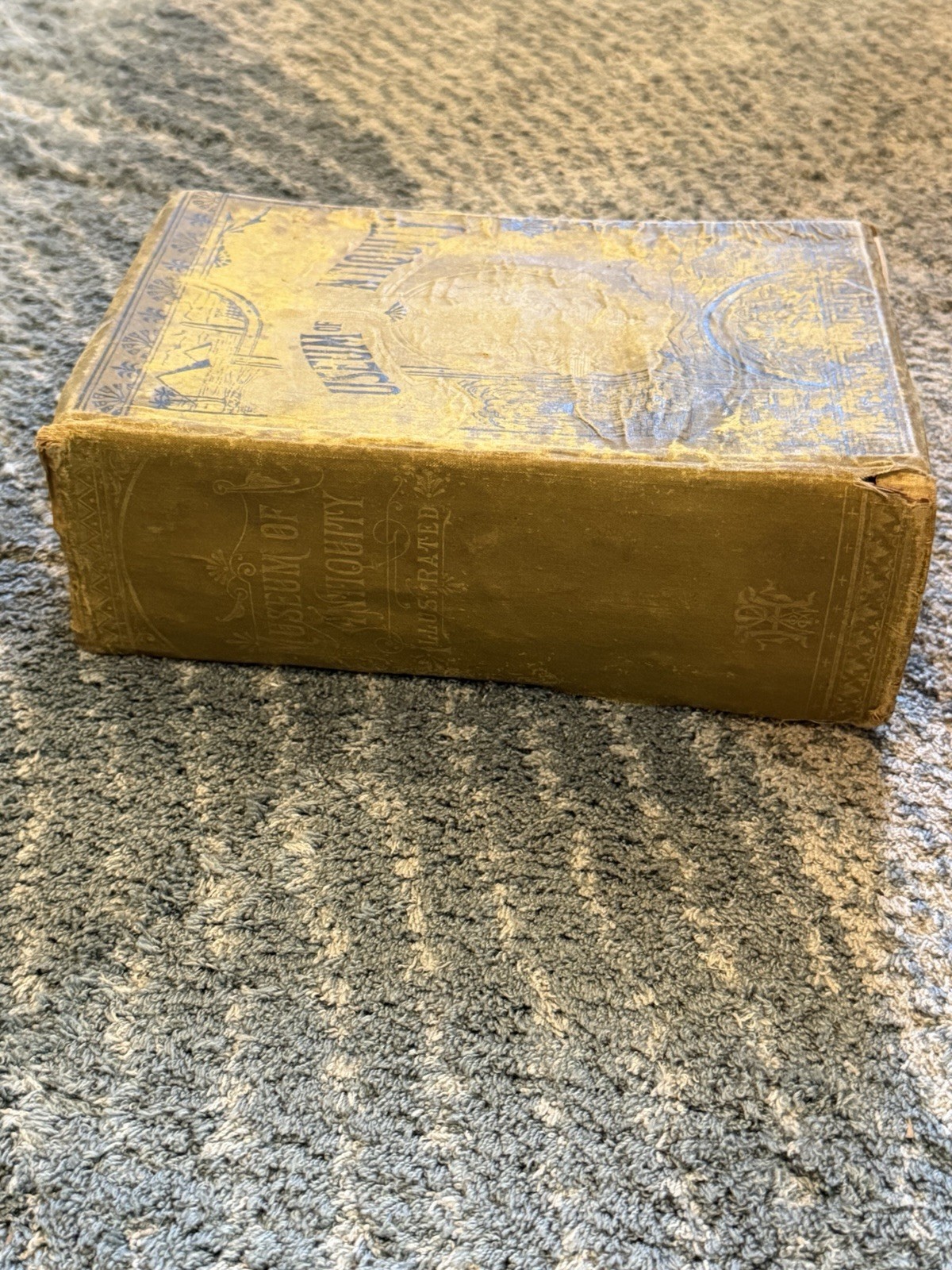 MUSEUM OF ANTIQUITY Vintage Hardcover Book Illustrated 1880 Ancient Life
