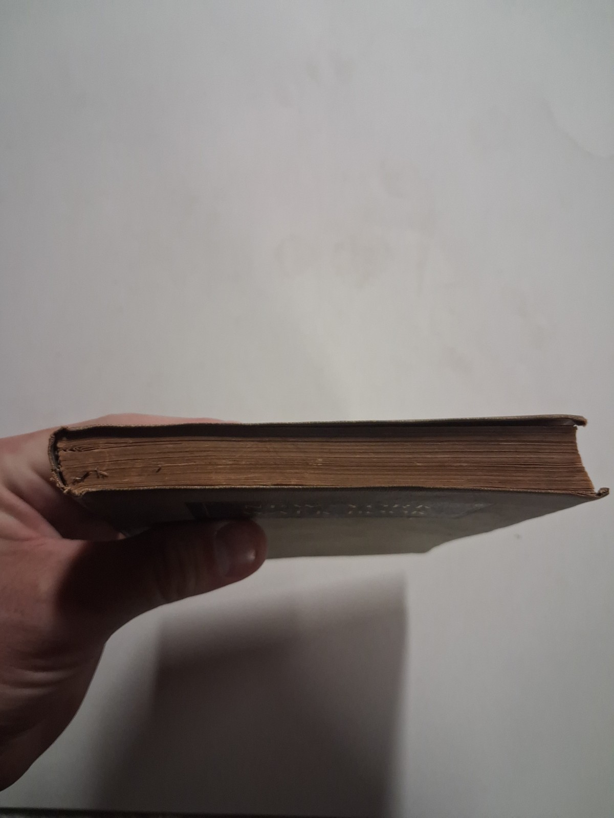 1923 NEW YORK WALK BOOK Raymond Torrey HIKING NJ NY MAPS
