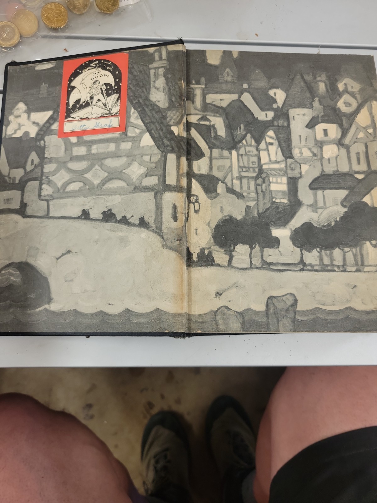 ADVENTURES OF REMI. ILLUS MEAD SCHAEFFER. RAND MCNALLY. 1935. HARDBACK. COLOR IL