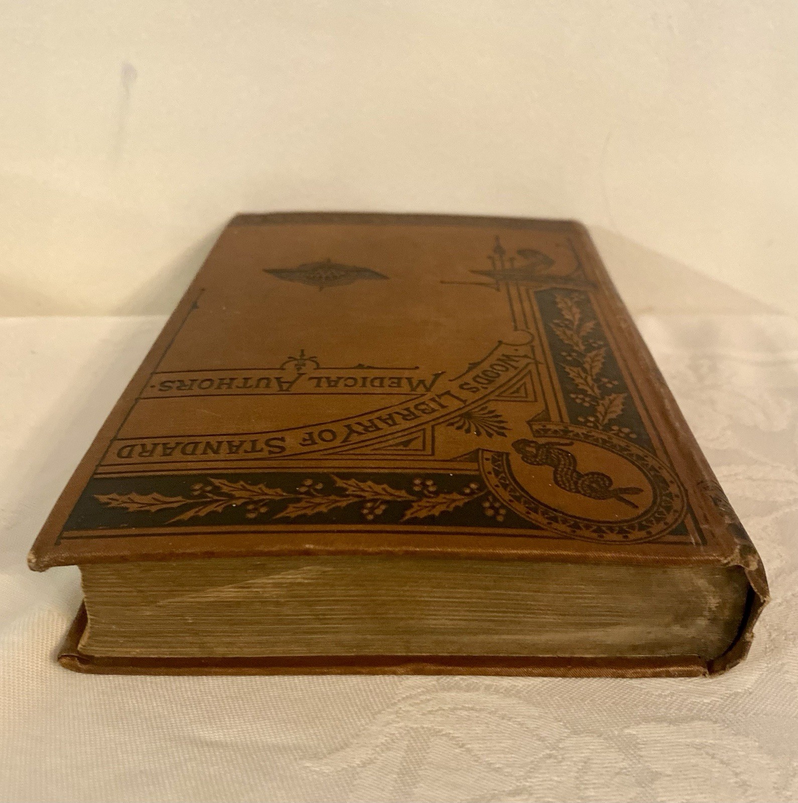 Wood’s Library Of Standard Medical Authors 1881 Diseases Of The Eye 360 Pages